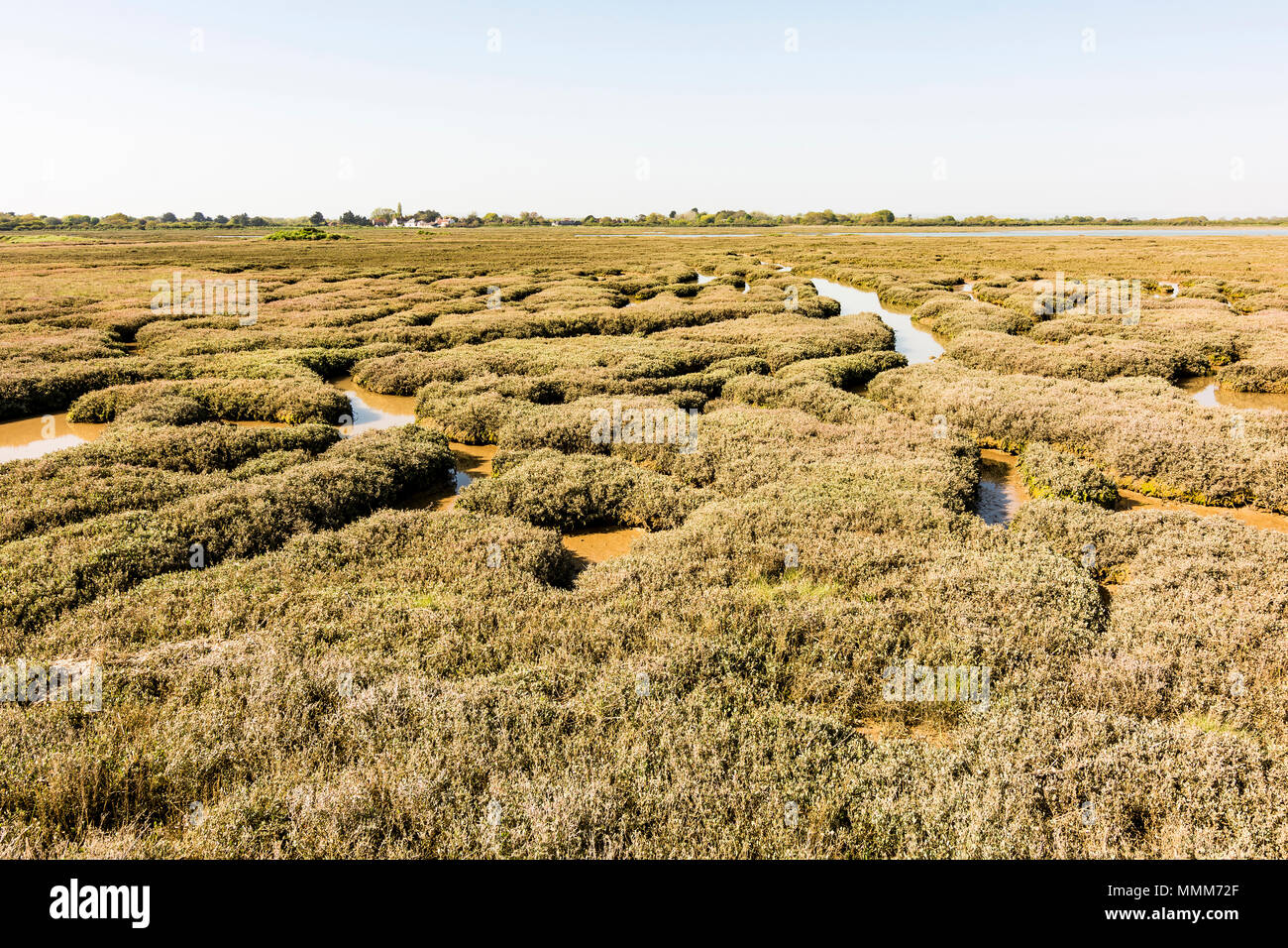 Il lato ovest del porto Pagham Riserva Naturale, West Sussex, Regno Unito. Foto Stock Il lato ovest del porto Pagham Riserva Naturale, West Sussex, Regno Unito. Foto Stock