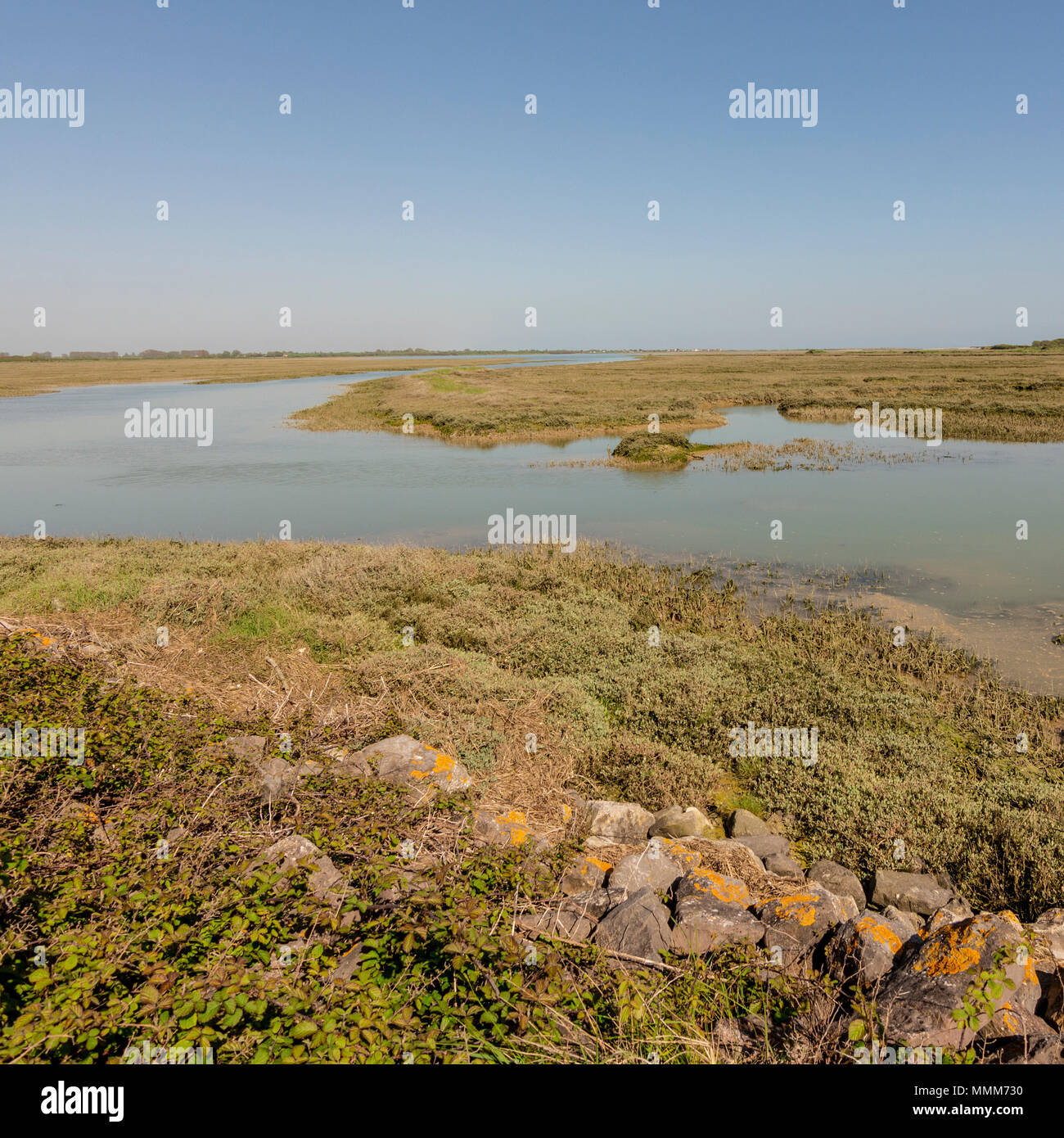 Il lato ovest del porto Pagham Riserva Naturale, West Sussex, Regno Unito. Foto Stock Il lato ovest del porto Pagham Riserva Naturale, West Sussex, Regno Unito. Foto Stock