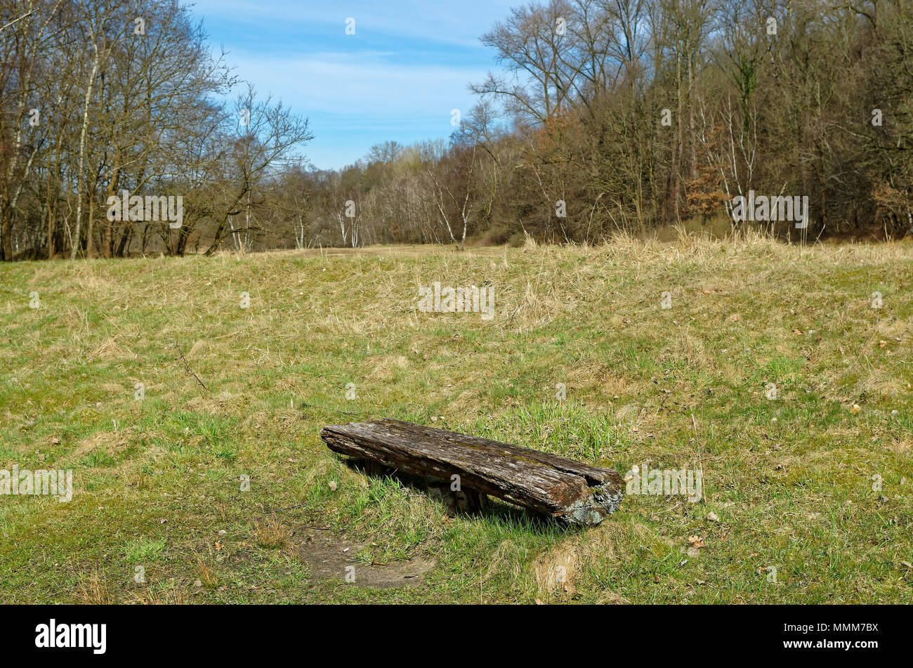 Rustico vecchia panca di legno su un campo contro il cielo blu. Riserva naturale Boberger Niederung ad Amburgo, Germania Foto Stock