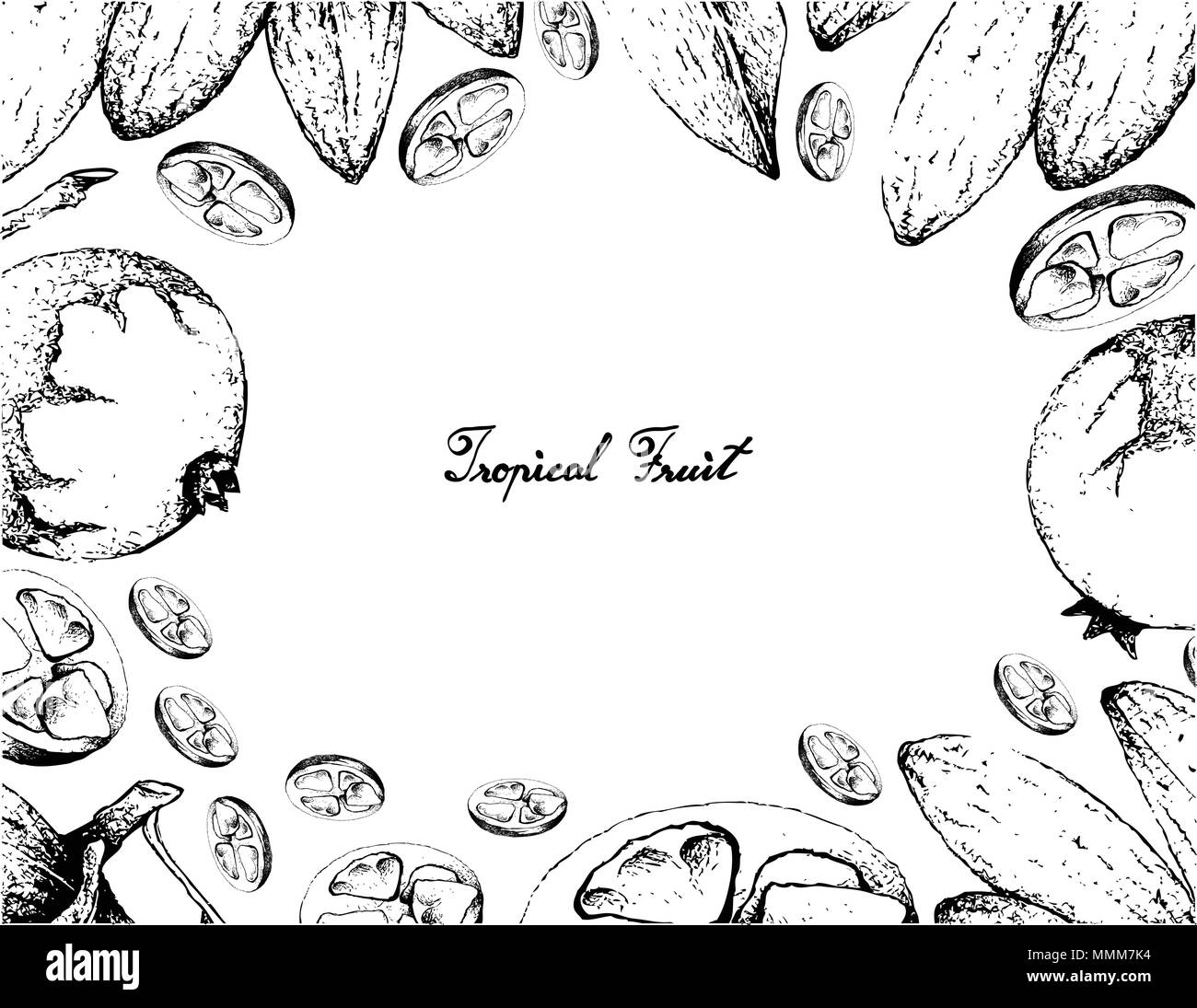 La frutta tropicale, illustrazione Telaio del lato Bozzetto Baga de Macaco o Posoqueria Latifolia e banana de Macaco o Porcelia Macrocarpa frutti Isol Illustrazione Vettoriale