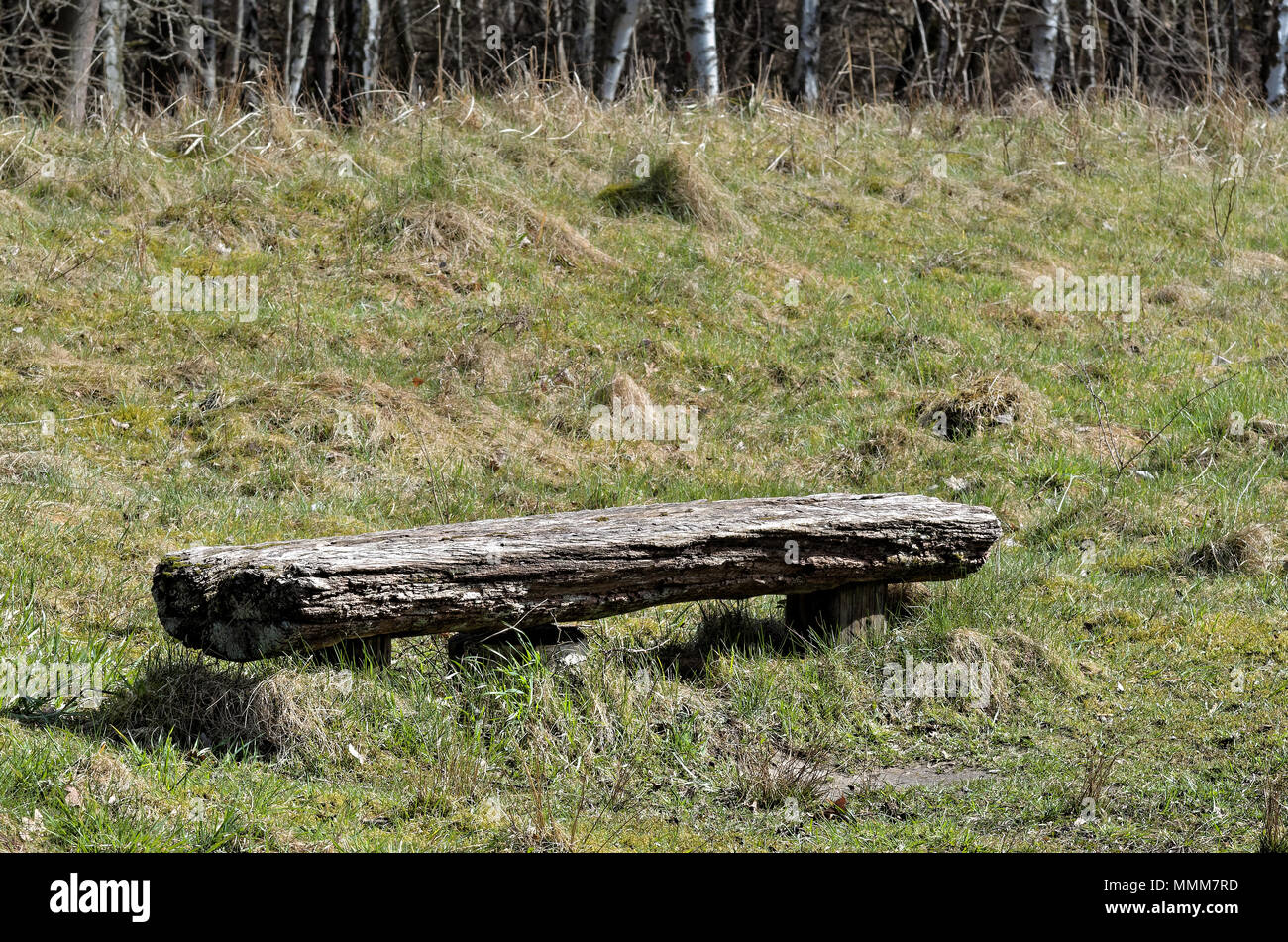 Rustico vecchia panca di legno su un campo con una foresta in background. Riserva naturale Boberger Niederung ad Amburgo, Germania Foto Stock