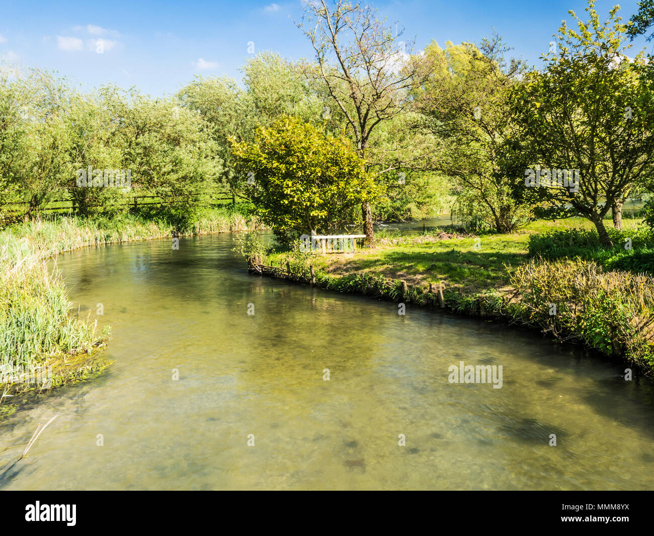 Una soleggiata giornata di primavera lungo il fiume Kennet nel Wiltshire. Foto Stock