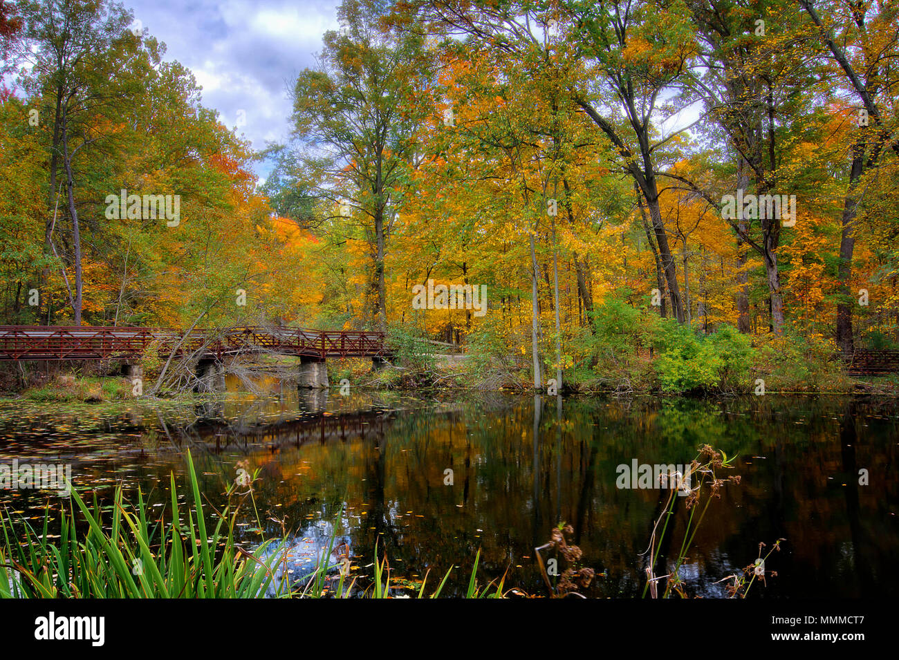 Una bella scena di autunno di Mallard Lago all'interno di aperture di quercia preservare Metropark in Toledo Ohio. Foto Stock