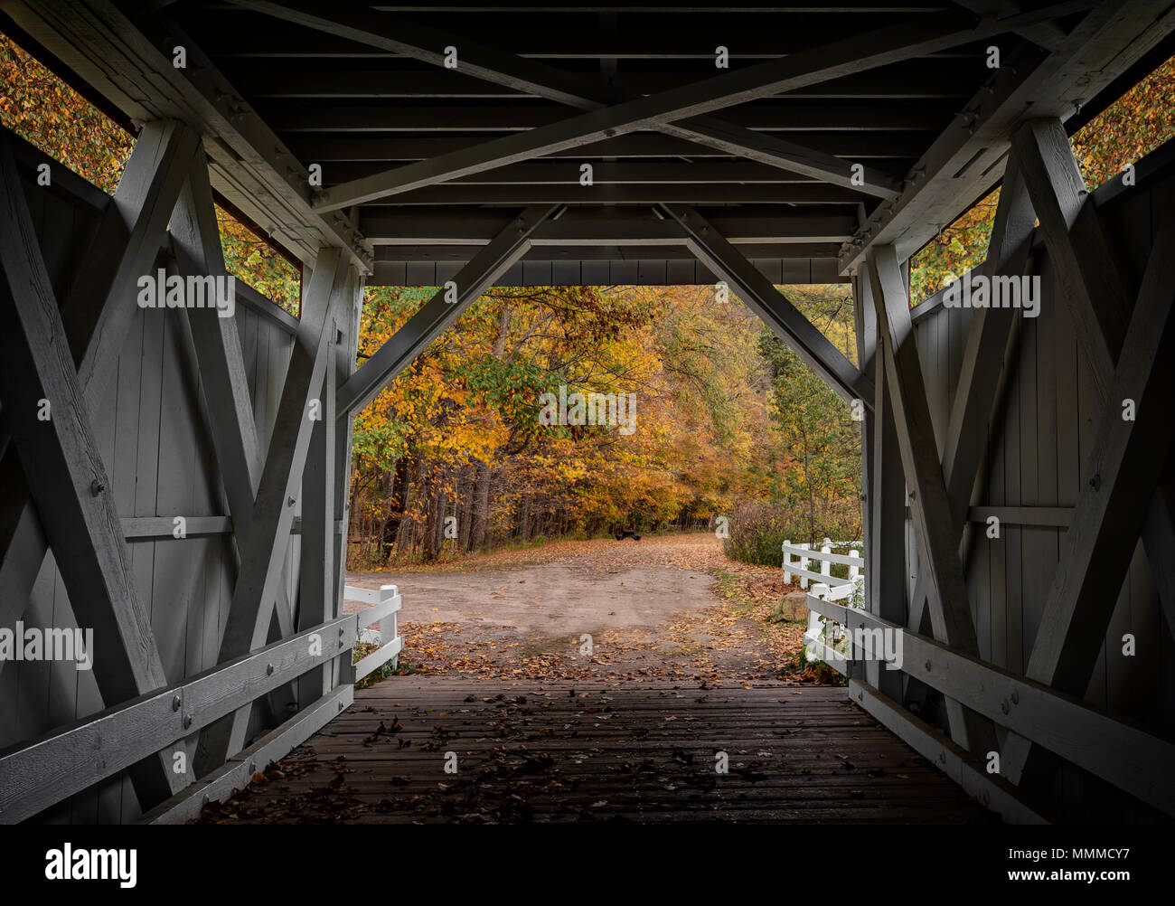 A guardare la bella colori autunnali dall'interno dell'Everett Road ponte coperto in Cuyahoga Valley National Park in Ohio. Foto Stock