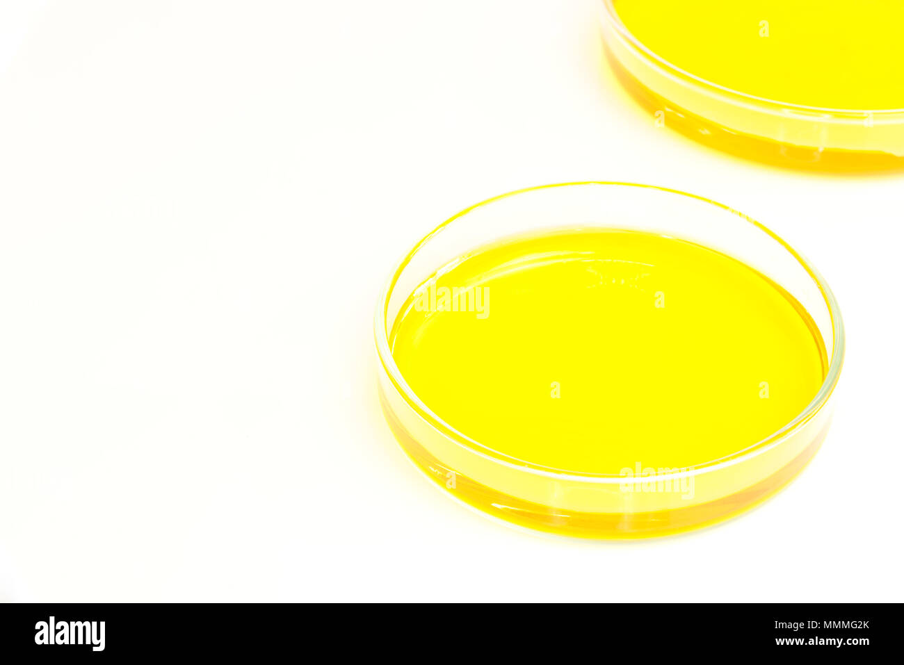Piastre di Petri (petridishes) di soluzione di bicromato di potassio liquido giallo isolato su sfondo bianco. La scienza concetto scientifico Foto Stock