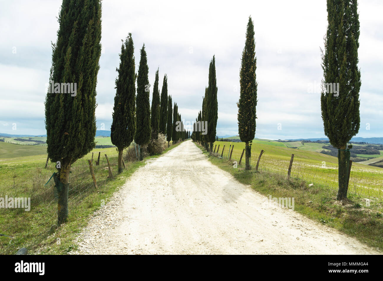 Strada di campagna tra cipressi davanti di una vasta area della regione Toscana Foto Stock