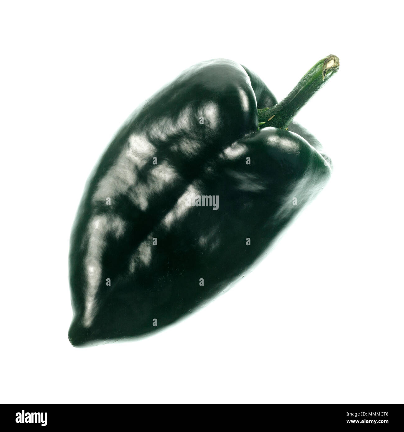 Il peperoncino poblano è un tipo di Capsicum annuum. Si tratta di un peperoncino dolce originati dallo stato di Puebla in Messico. Essiccato è chiamato ancho o peperoncino anch Foto Stock