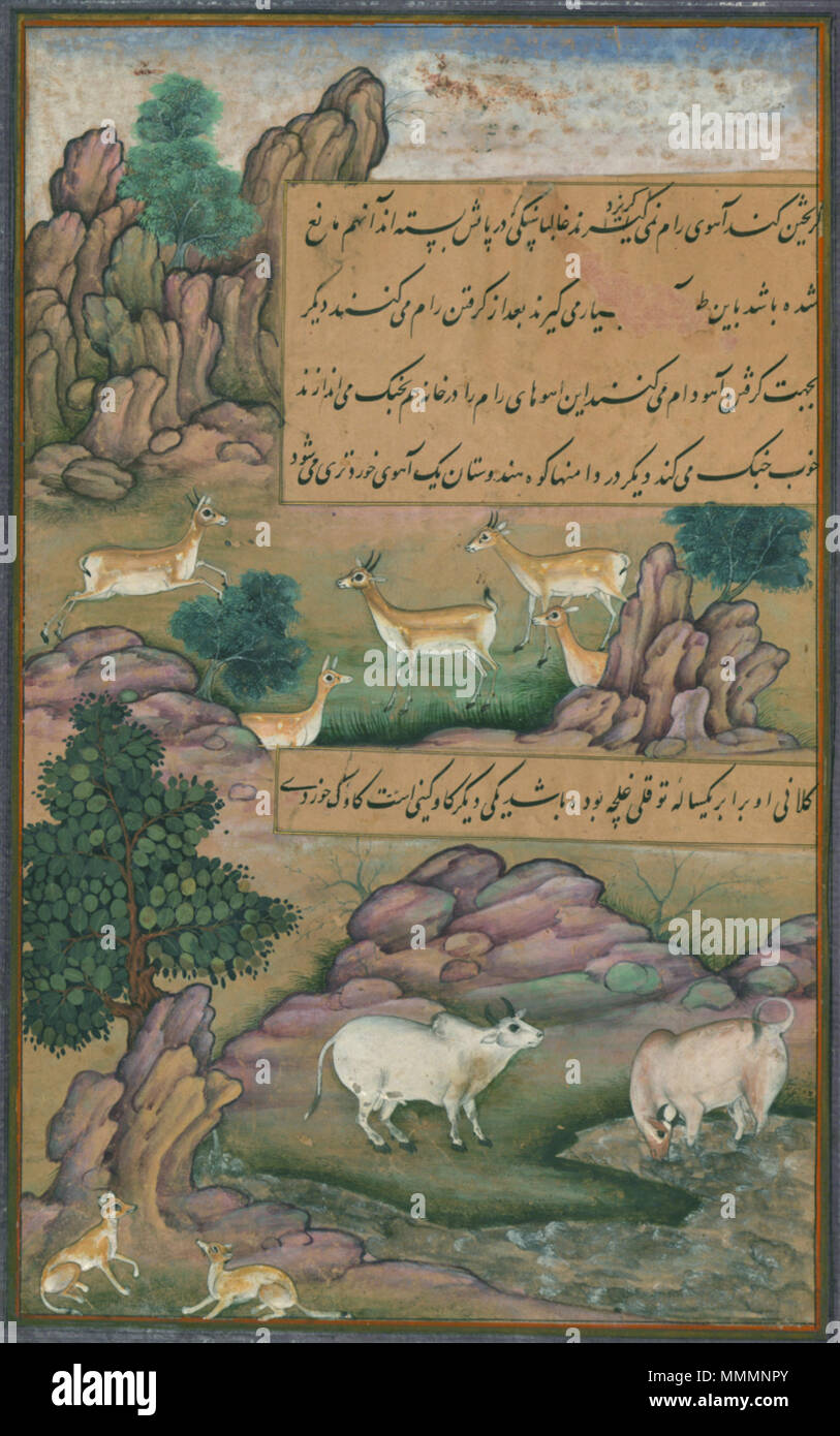 47 animali di Hindustan piccoli cervi e vacche chiamato gīnī, dal manoscritto illuminato Baburnama (memorie di Babur) Foto Stock