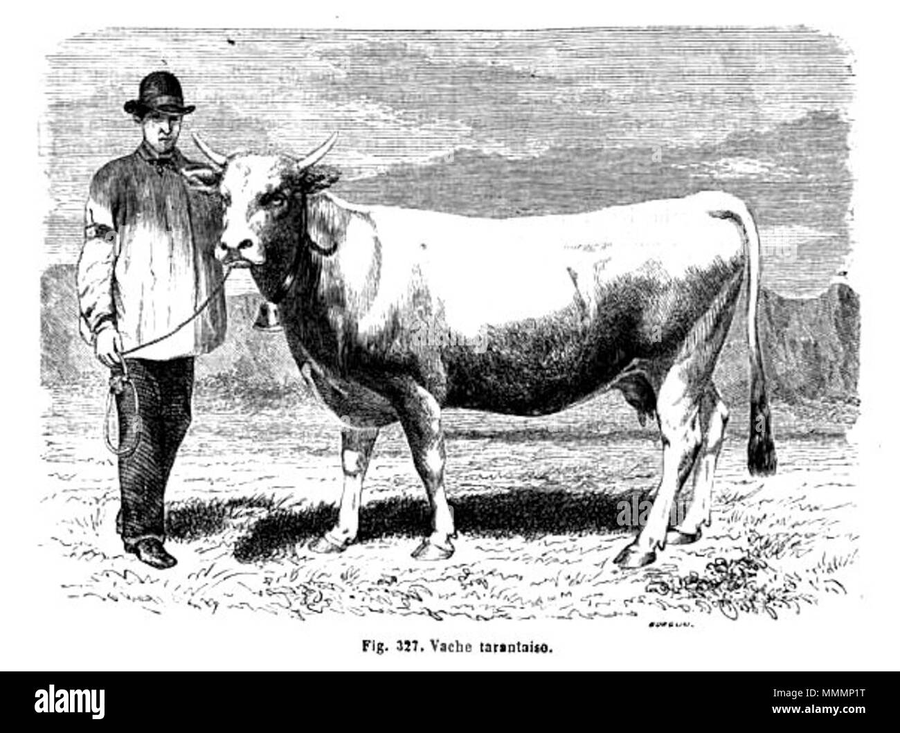 . Français : Vache tarentaise inglese: Tarentaise mucca . 1869. Alfred Brehm (1829-1884) nomi alternativi Brehm; Alfred Edmund Brehm; A. E. Brehm Descrizione biologo tedesco ornitologo, zoologo, pittore e scrittore Data di nascita e morte 2 Febbraio 1829 11 Novembre 1884 Luogo di nascita e morte Renthendorf Renthendorf competente controllo : Q155112 VIAF:?ISNI 47553366:?0000 0001 2131 4808 LCCN:?n50065092 GND:?118514814 SELIBR:?179101 WorldCat Brehm-Vache-Tarentaise Foto Stock