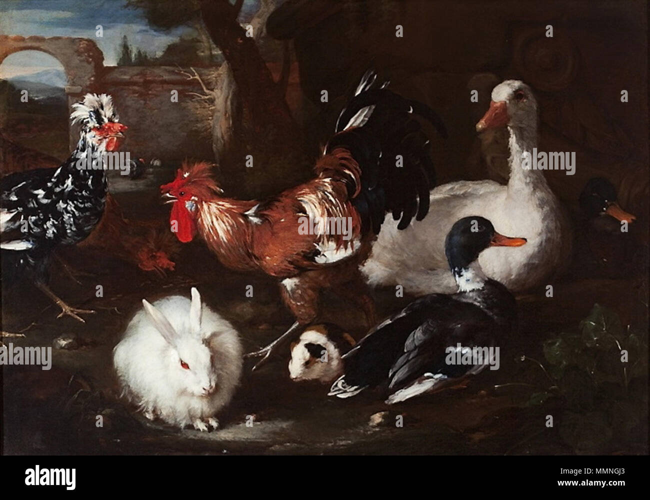 Fowl con un coniglio e la guinea pig.. quarto trimestre del xvii secolo. Victors Fowl con un coniglio e cavia Foto Stock