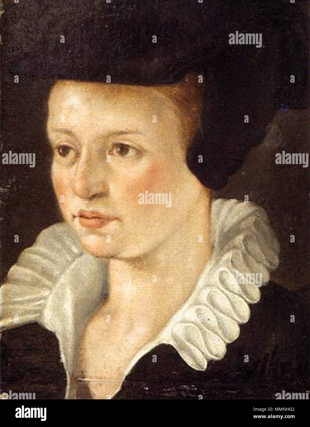 La moglie del "peloso da Monaco di Baviera". 1580s. Cinquecentesca di ignoti pittori - La moglie del "peloso da Monaco di Baviera" - WGA23789 Foto Stock