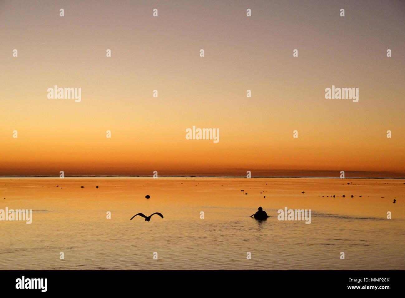 Una persona gode l' oceano e i colori dorati del tramonto a Heron Island, della Grande Barriera Corallina, Queensland, Australia Foto Stock