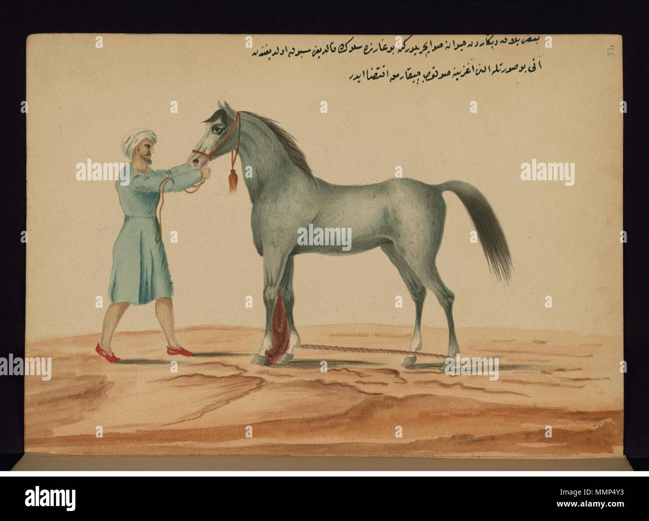 W.661.75a Ahmed "Ata Tayyarzade - Rimozione di una sanguisuga dalla bocca del cavallo - Walters W66175A - Pagina completa Foto Stock
