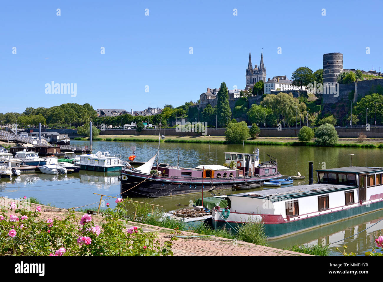 Porto sul fiume Maine di Angers e la cattedrale Saint Maurice. Angers è un comune nel Maine-et-Loire reparto, regione Pays de la Loire, in w Foto Stock