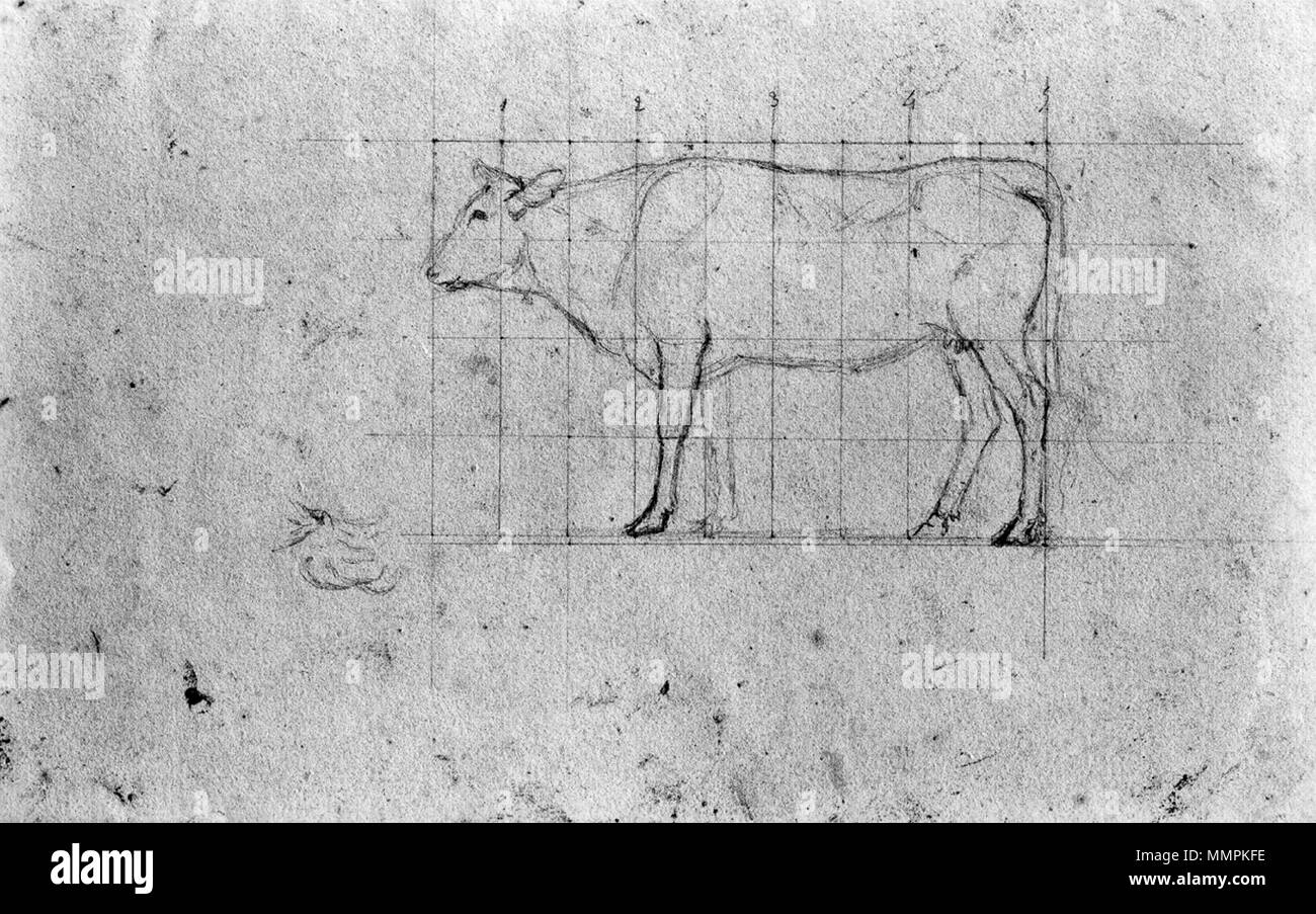 37.2181 Antoine-Louis Barye (Francese, 1796-1875). 'Sketch di una vacca,' DEL XIX SECOLO. grafite sulla crema, moderatamente denso, leggermente strutturata carta intessuta. Walters Art Museum (37.2181): Museo acquisto, 1949. Antoine-Louis Barye - Schizzo di una mucca - Walters 372181 Foto Stock