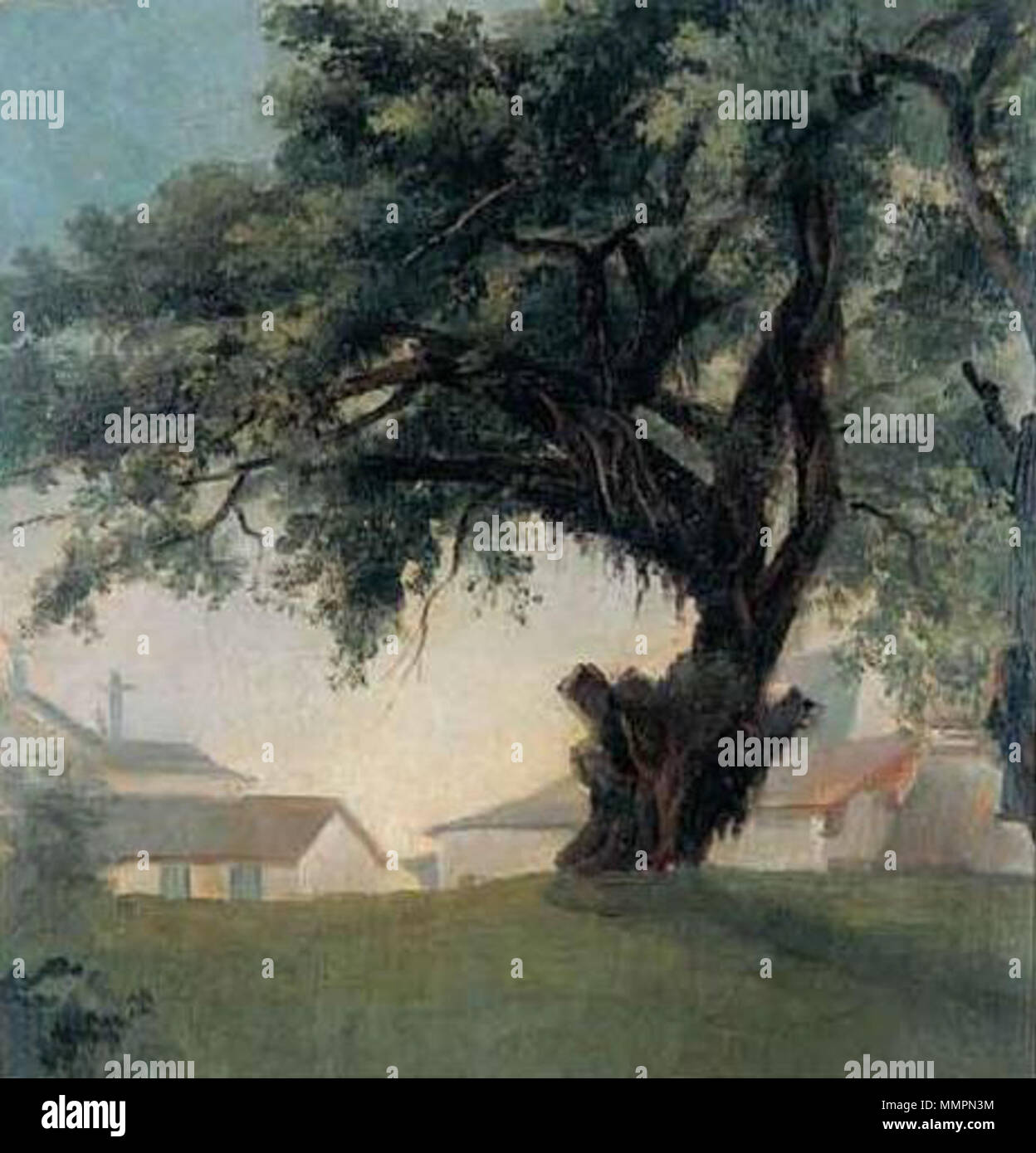 Anônimo - Árvore gigante e caserna Foto Stock