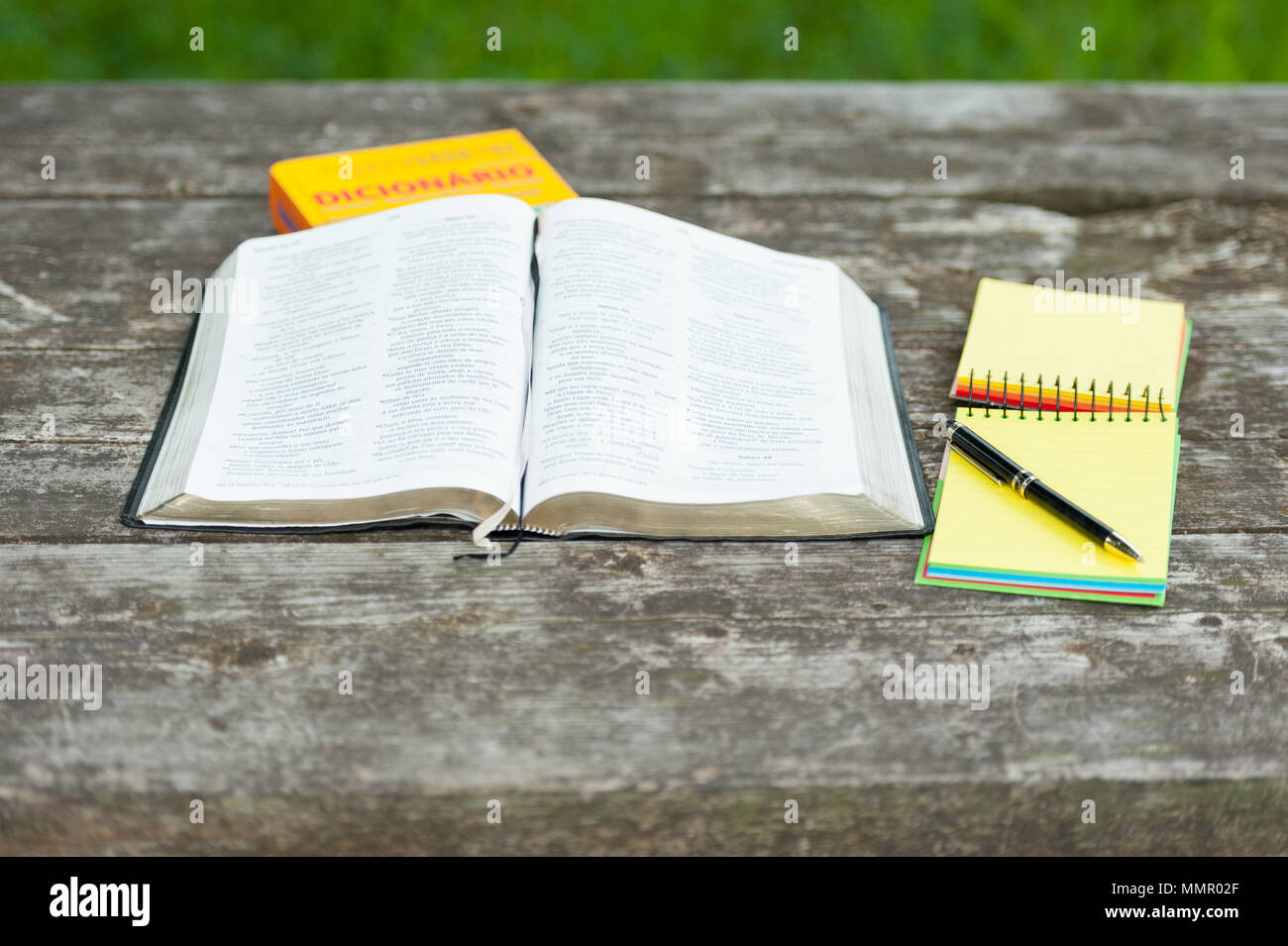 Il piacere di studiare la Bibbia all'esterno. Foto Stock