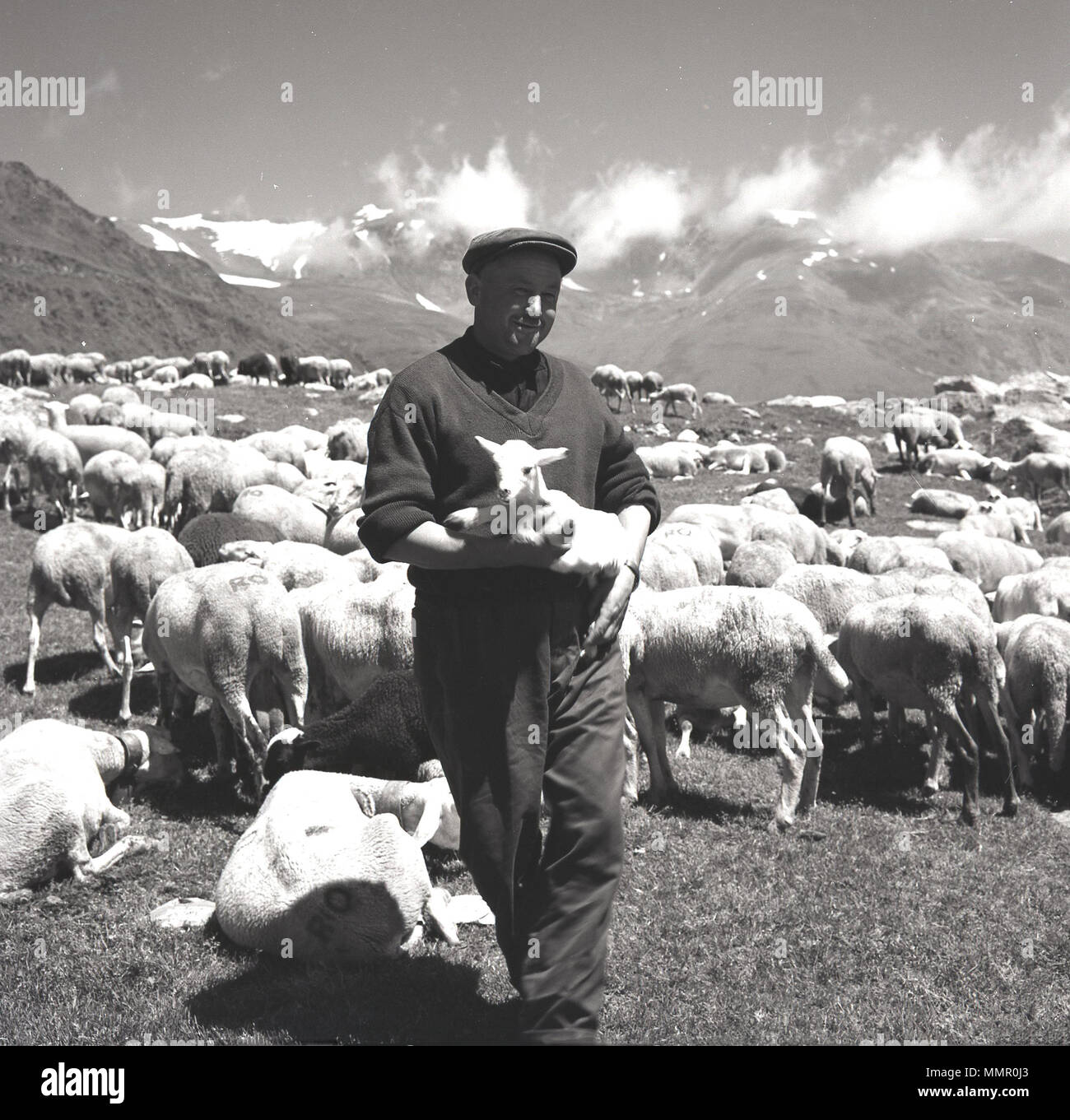 Degli anni Cinquanta, foto storiche del Principato di Andorra un pastore con il suo gregge di pecore al pascolo sulle pendici della collina in montagna dei Pirenei, Andorra. L'ambiente naturale e l'aria alpina deve essere buona per i popoli indigeni come secondo uno studio del 2013, la popolazione di Andorra hanno avuto la maggiore aspettativa di vita nel mondo. Foto Stock