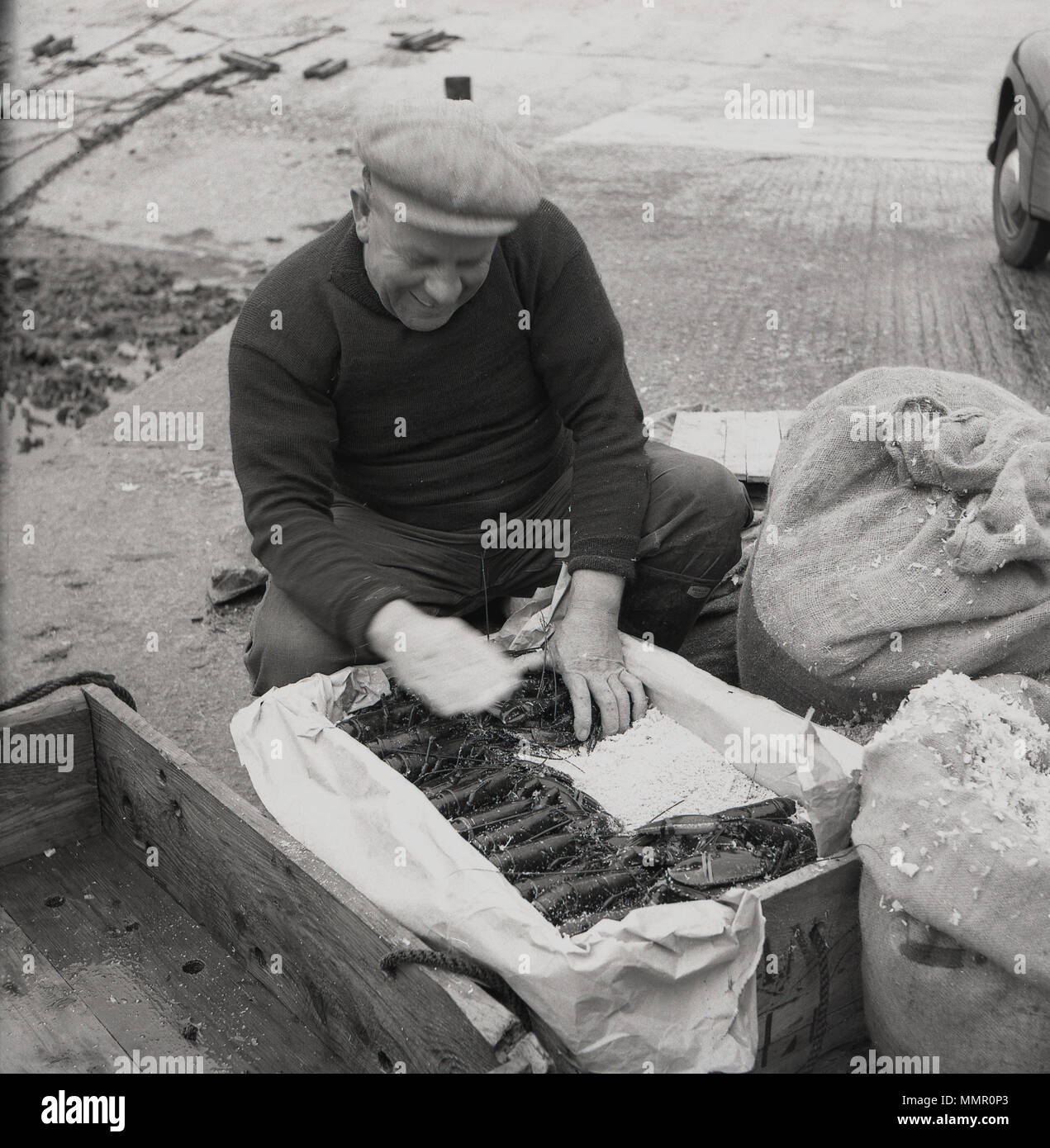 Degli anni Cinquanta, storico, un pescatore con attenzione mettendo la sua cattura delle aragoste in una carta-rigato, casse di legno circondato da ghiaccio. L'Irlanda. Le aragoste artigli frontali presentano bande di gomma intorno a loro, per evitare eventuali punture da artigli affilati e in realtà è un pesce delicato che necessita di un trattamento accurato. Foto Stock