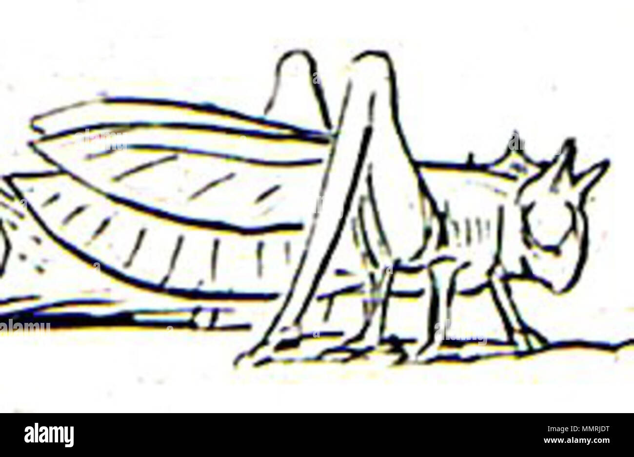 . Inglese: Blake-Job6-Grasshopper . 10 Luglio 2013 08:37:46. William Blake (1757-1827) nomi alternativi W. Blake; Uil'iam Bleik Descrizione British pittore, poeta, scrittore, teologo, collezionista e incisore, Data di nascita e morte 28 novembre 1757 12 agosto 1827 Luogo di nascita e morte Broadwick Street Charing Cross sede di lavoro London Authority control : Q41513 VIAF:?ISNI 54144439:?0000 0001 2096 135X ULAN:?500012489 LCCN:?n78095331 NLA:?35019221 WorldCat questa è una fedele riproduzione fotografica di un bidimensionale, il dominio pubblico opera d'arte. L opera d arte è di per sé in Foto Stock