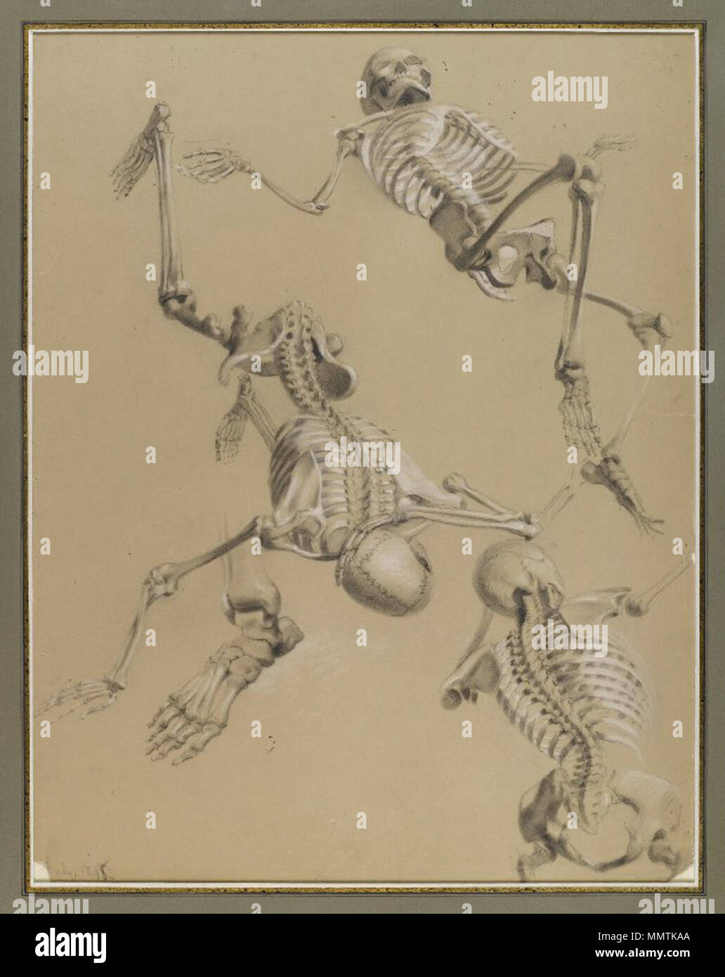 Studio di scheletri. circa 1848. Il Brooklyn Museum - Studio di scheletri - Daniel Huntington Foto Stock