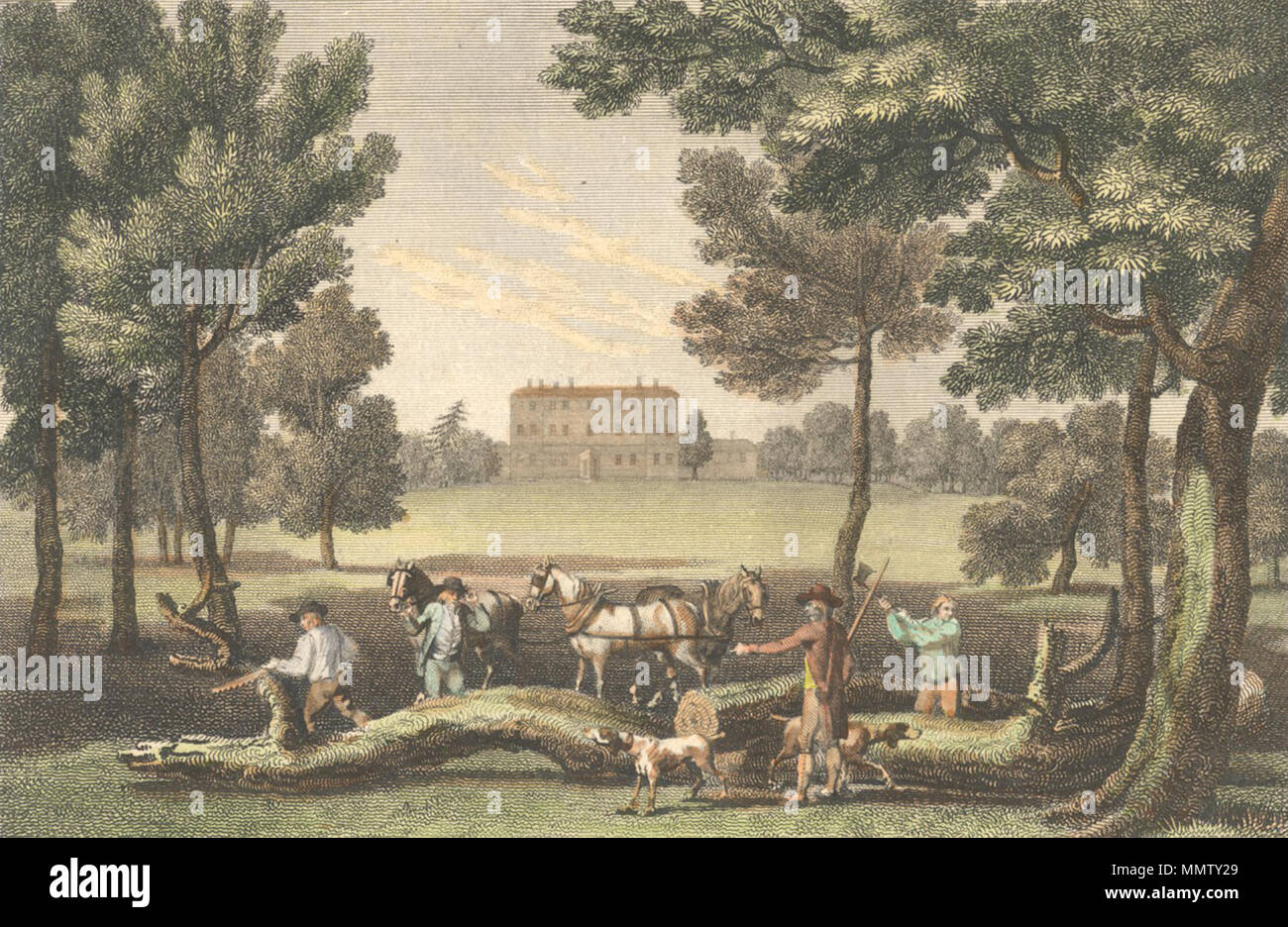 . Inglese: Caversham Park, Caversham, lettura. La casa è sullo sfondo e in primo piano sono i cavalli e i cani e gli uomini la trinciatura e segare a tree-trunk. 1790-1799 : stampa, intitolata 'piastra 29. Caversham-Park, Oxfordshire,' disegnata da Dayes e inciso da W. e J. Walker. . Tra 1790 e 1799. W. e J. Walker Caversham Park, 1790-1799 di W. e J. Walker Foto Stock . Inglese: Caversham Park, Caversham, lettura. La casa è sullo sfondo e in primo piano sono i cavalli e i cani e gli uomini la trinciatura e segare a tree-trunk. 1790-1799 : stampa, intitolata 'piastra 29. Caversham-Park, Oxfordshire,' disegnata da Dayes e inciso da W. e J. Walker. . Tra 1790 e 1799. W. e J. Walker Caversham Park, 1790-1799 di W. e J. Walker Foto Stock