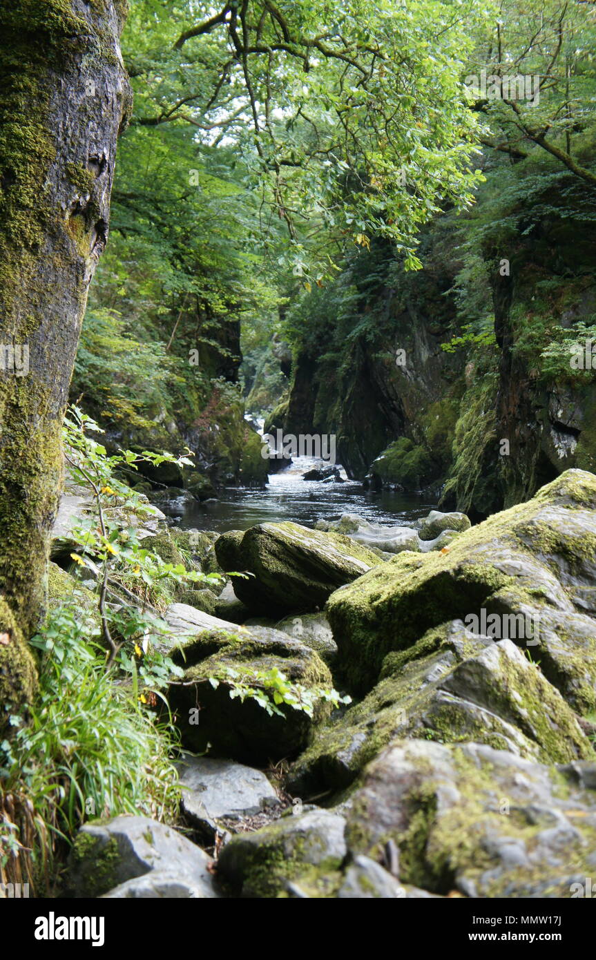 Fairy Glen a Betws-y-Coed, Galles Foto Stock