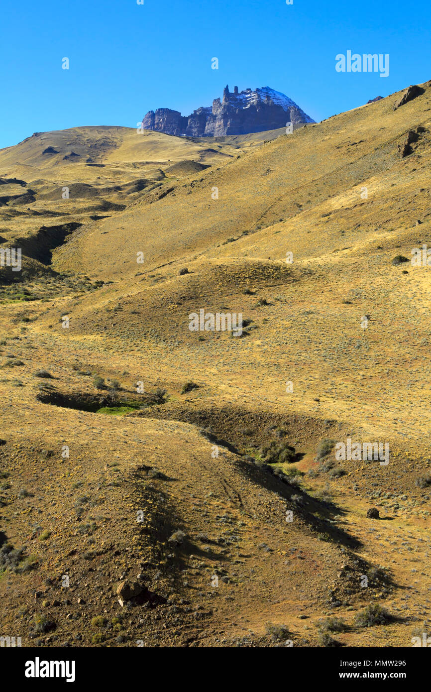 Praterie verdeggianti della valle del fiume di Sierra Baguales, Patagonia, Cile Foto Stock