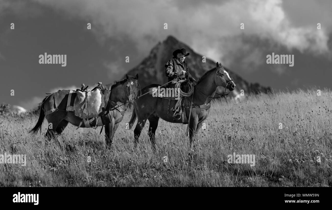 Ott 4, 2017, RIDGWAY COLORADO - i vecchi Cowboy, Howard Linscott , packhorse conduce attraverso storica ultimo dollaro Ranch su Hastings Mesa, SW Colorado, San Juan Mountains Foto Stock