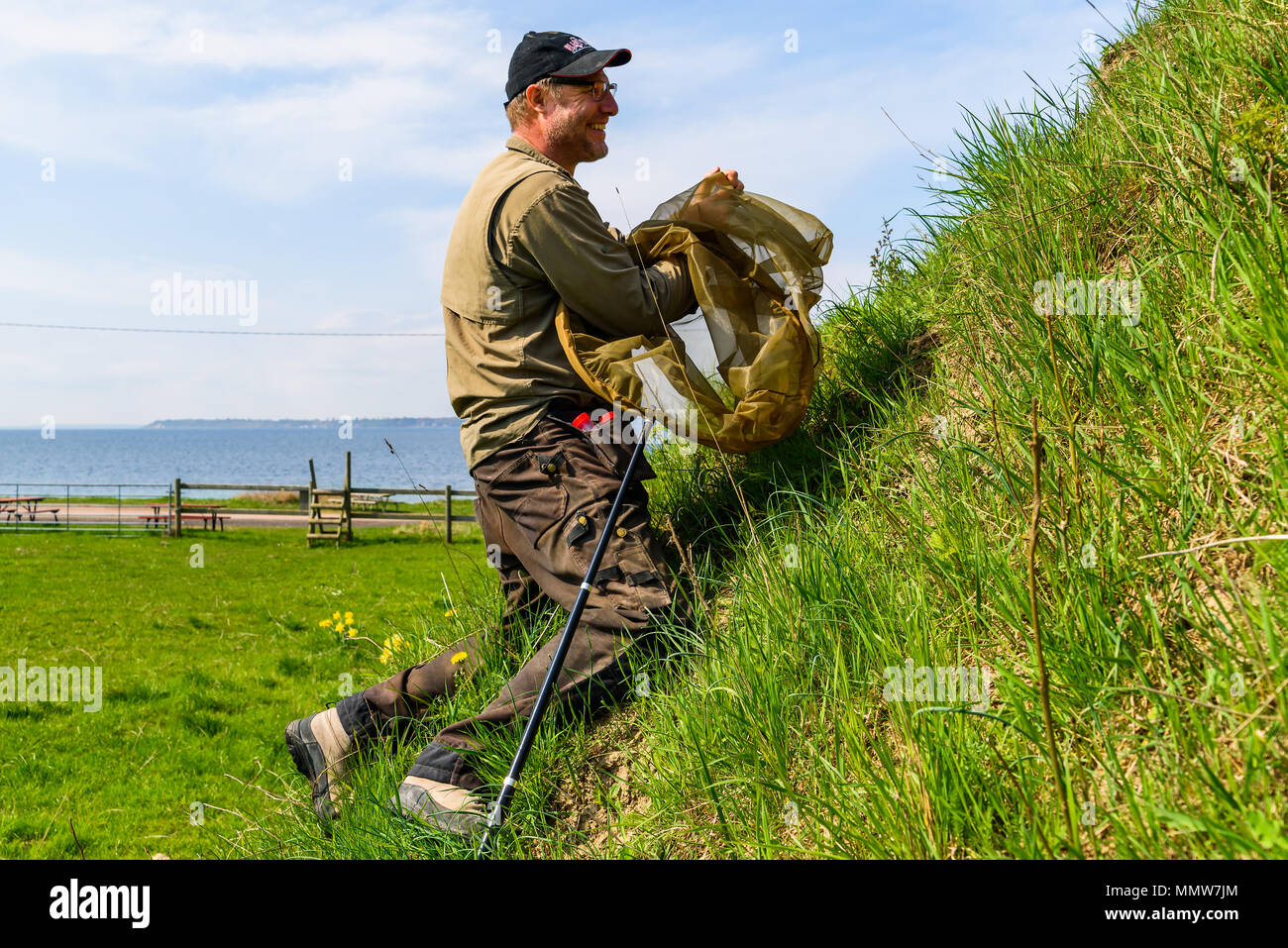 Glumslov, Svezia - 29 Aprile 2018: documentario della vita di tutti i giorni e il luogo. Beetle surveyor coleotteri di raccolta per l'inventario utilizzando un anello di rete su una pendenza Foto Stock