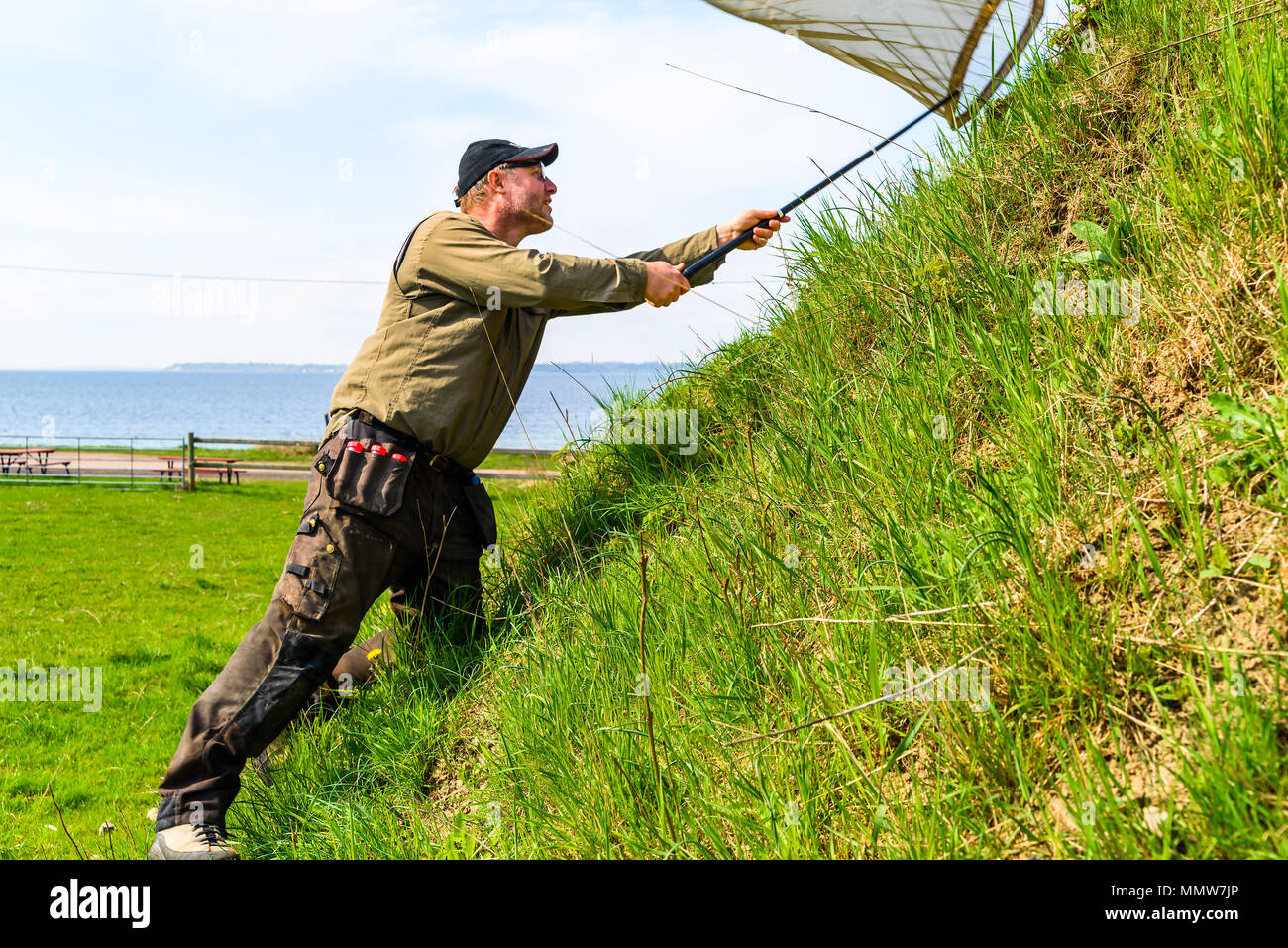 Glumslov, Svezia - 29 Aprile 2018: documentario della vita di tutti i giorni e il luogo. Beetle surveyor coleotteri di raccolta per l'inventario utilizzando un anello di rete su una pendenza Foto Stock