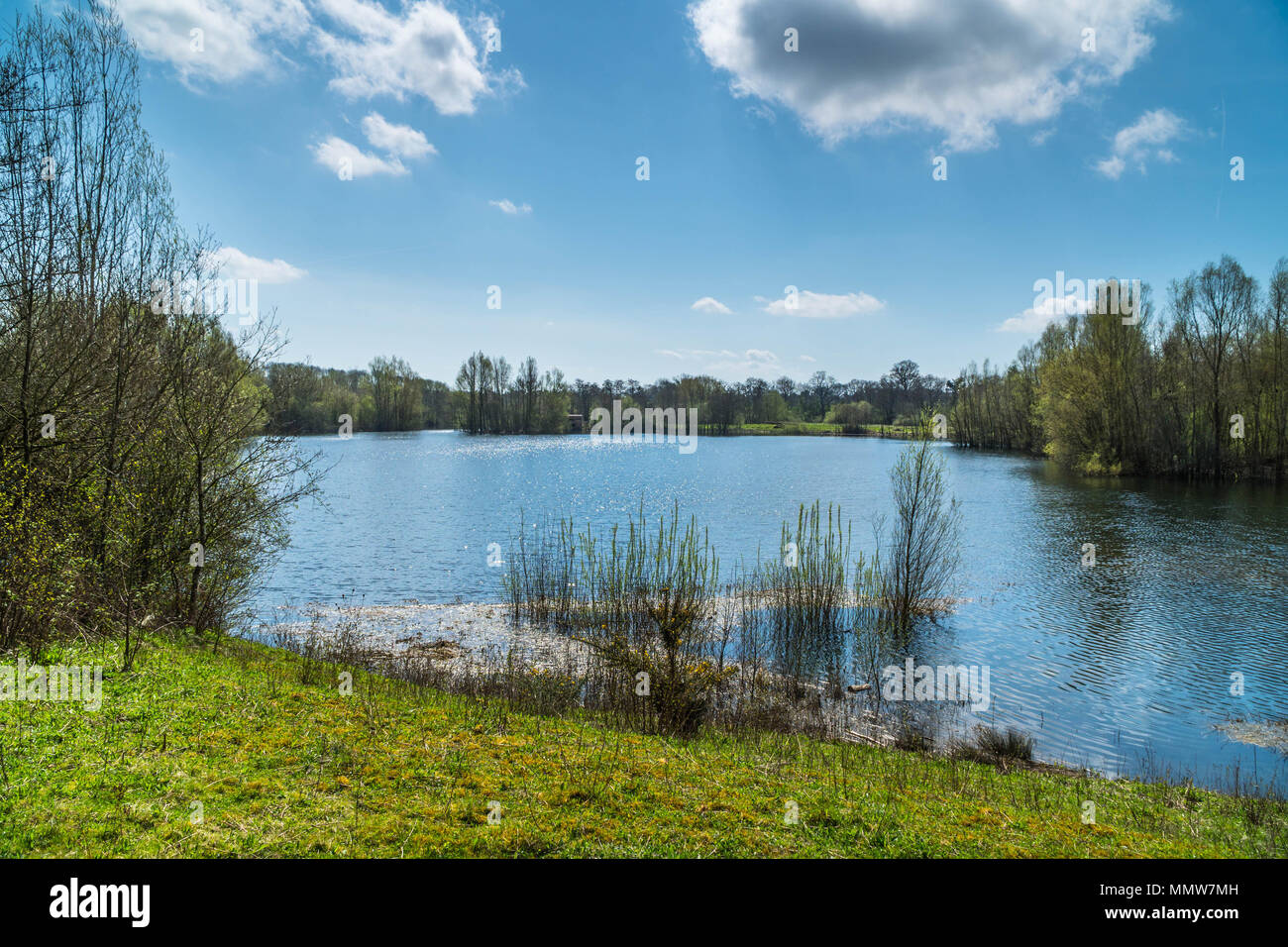 Bodenham Lago è un paradiso per la fauna selvatica con molte specie di uccelli Herefordshire UK Foto Stock