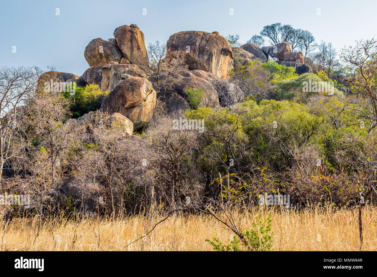 Rocce di bilanciamento in Matobo National Park, Zimbabwe, formato da milioni di anni di esposizione agli agenti atmosferici. Foto Stock