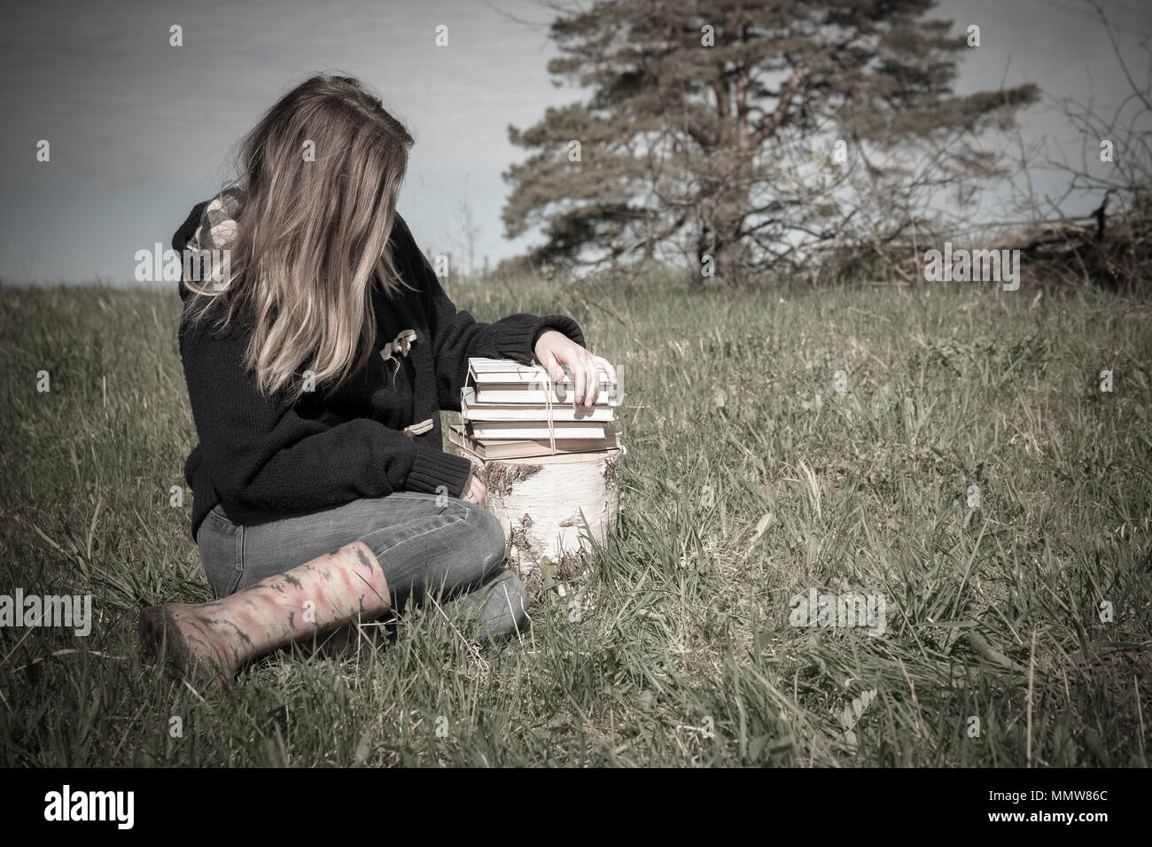 Pila di libri, paesaggio rurale e cielo blu Foto Stock