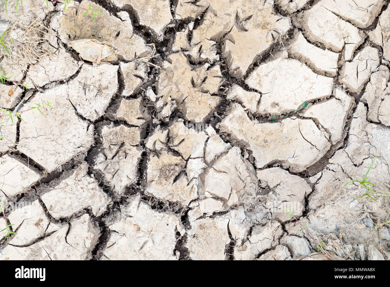 Il crack suolo sulla stagione secca , riscaldamento globale effetto . texture . Foto Stock