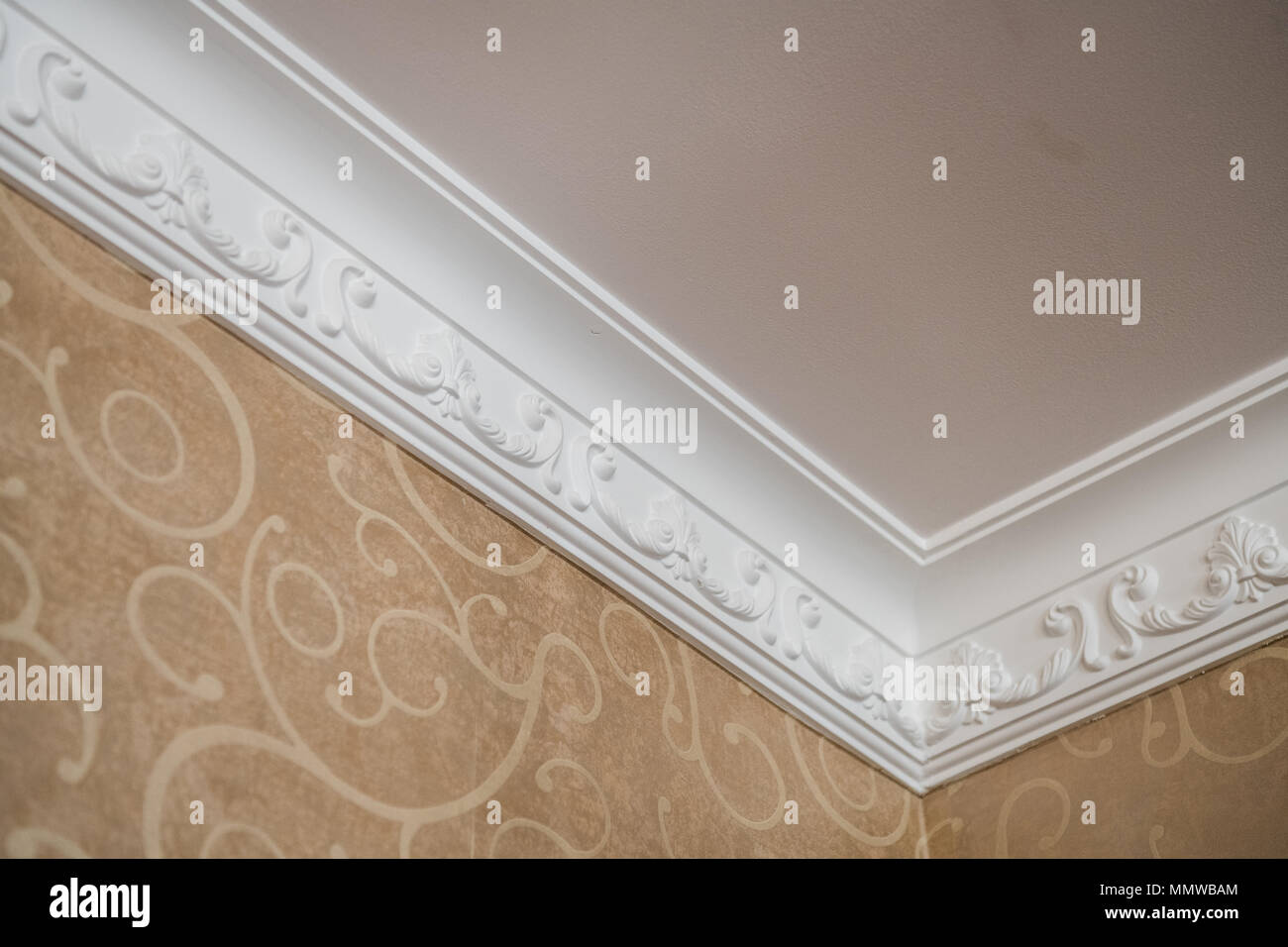 Casa di lusso soffitto angolo stampaggio ornamentali dettaglio Foto Stock