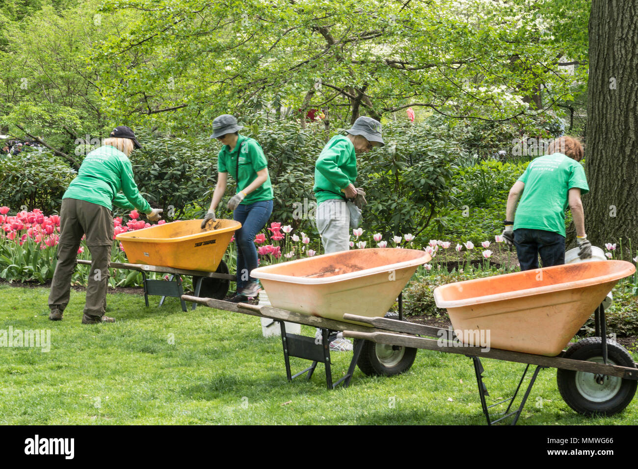 Central Park giardinieri e volontari pianta fiori in primavera, NYC, STATI UNITI D'AMERICA Foto Stock