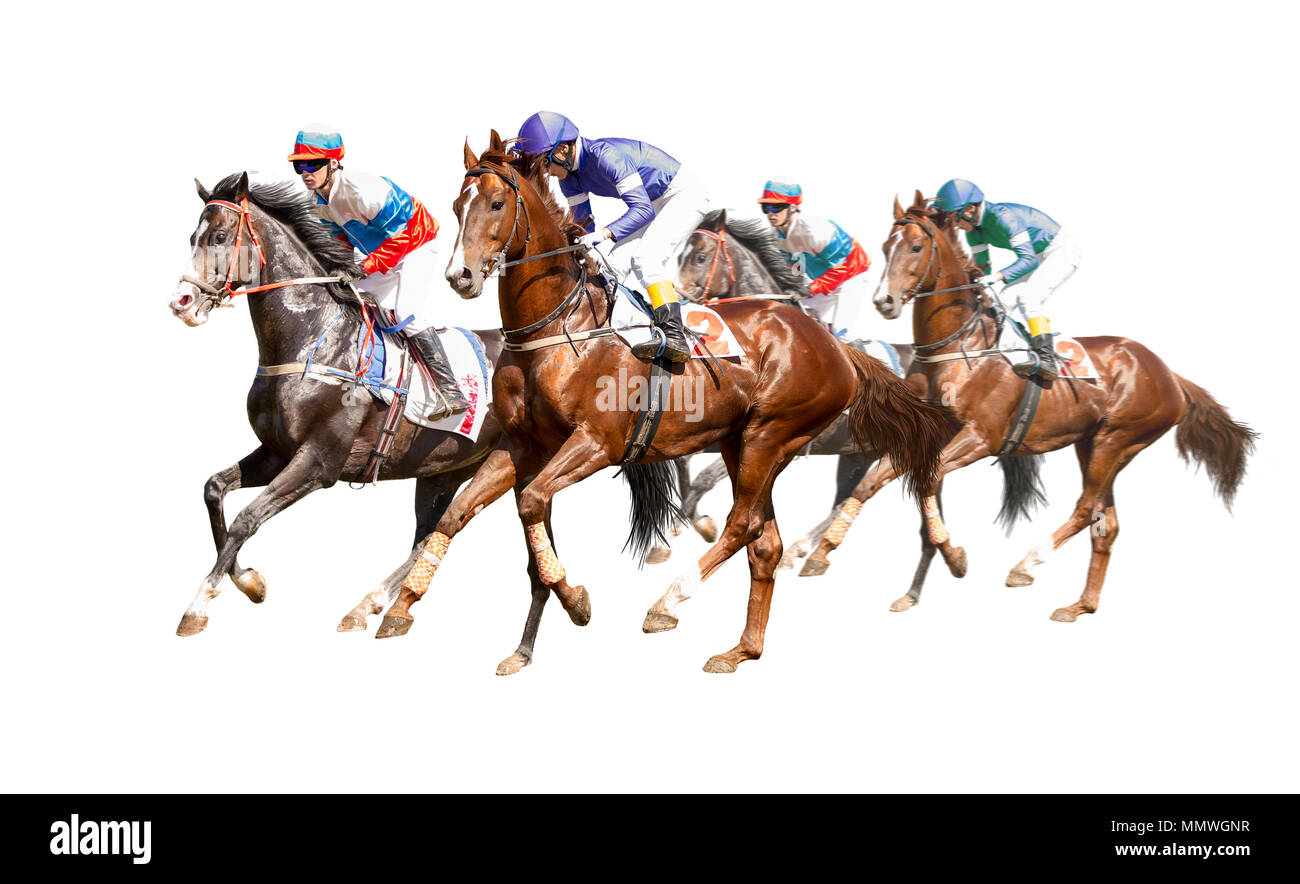 Quattro cavalli da corsa collo a collo in concorrenza per la linea del traguardo Foto Stock