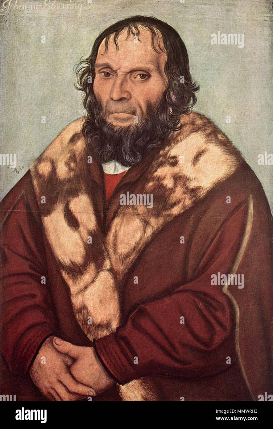 Johann(es) Scheyring (Ziering), Cranach Lucas il vecchio - Johann(es) Scheyring- 1529 (WGA) Foto Stock