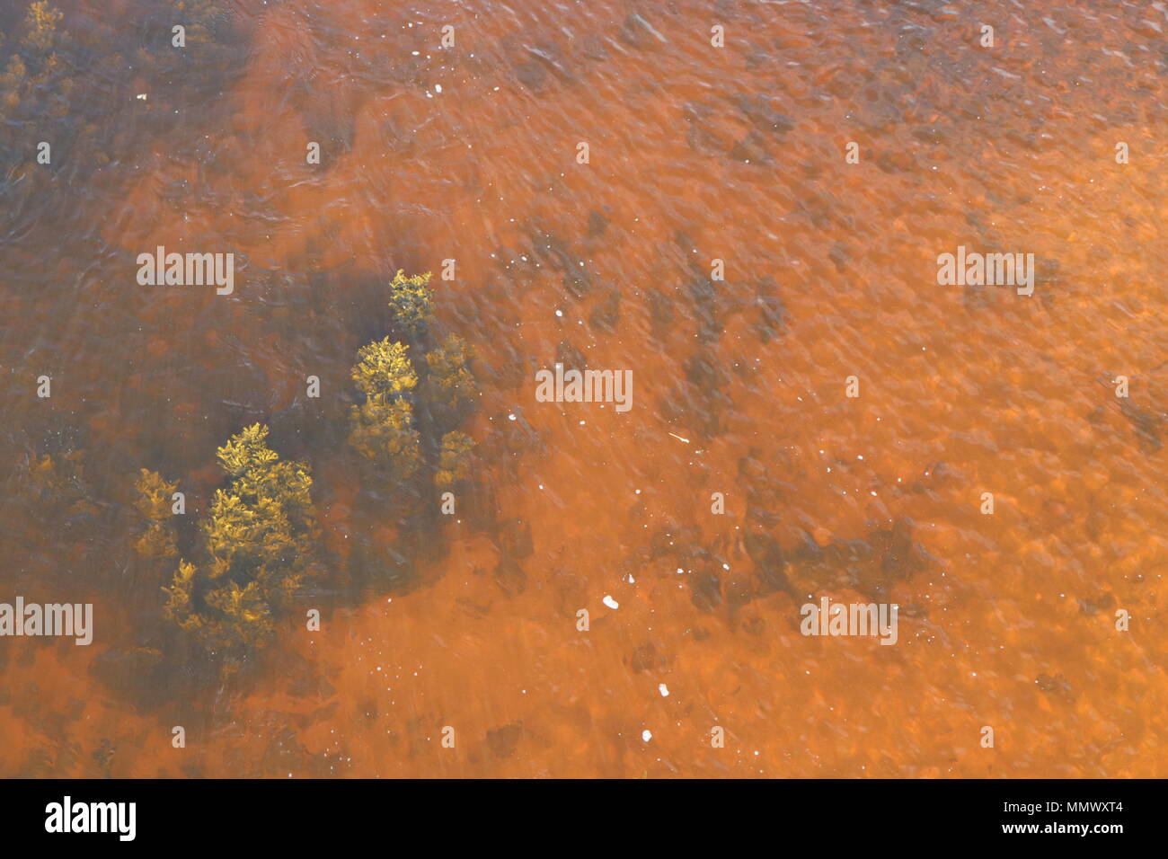 Close up di sabbia, alghe, ciottoli e le ondulazioni in fiume Foto Stock