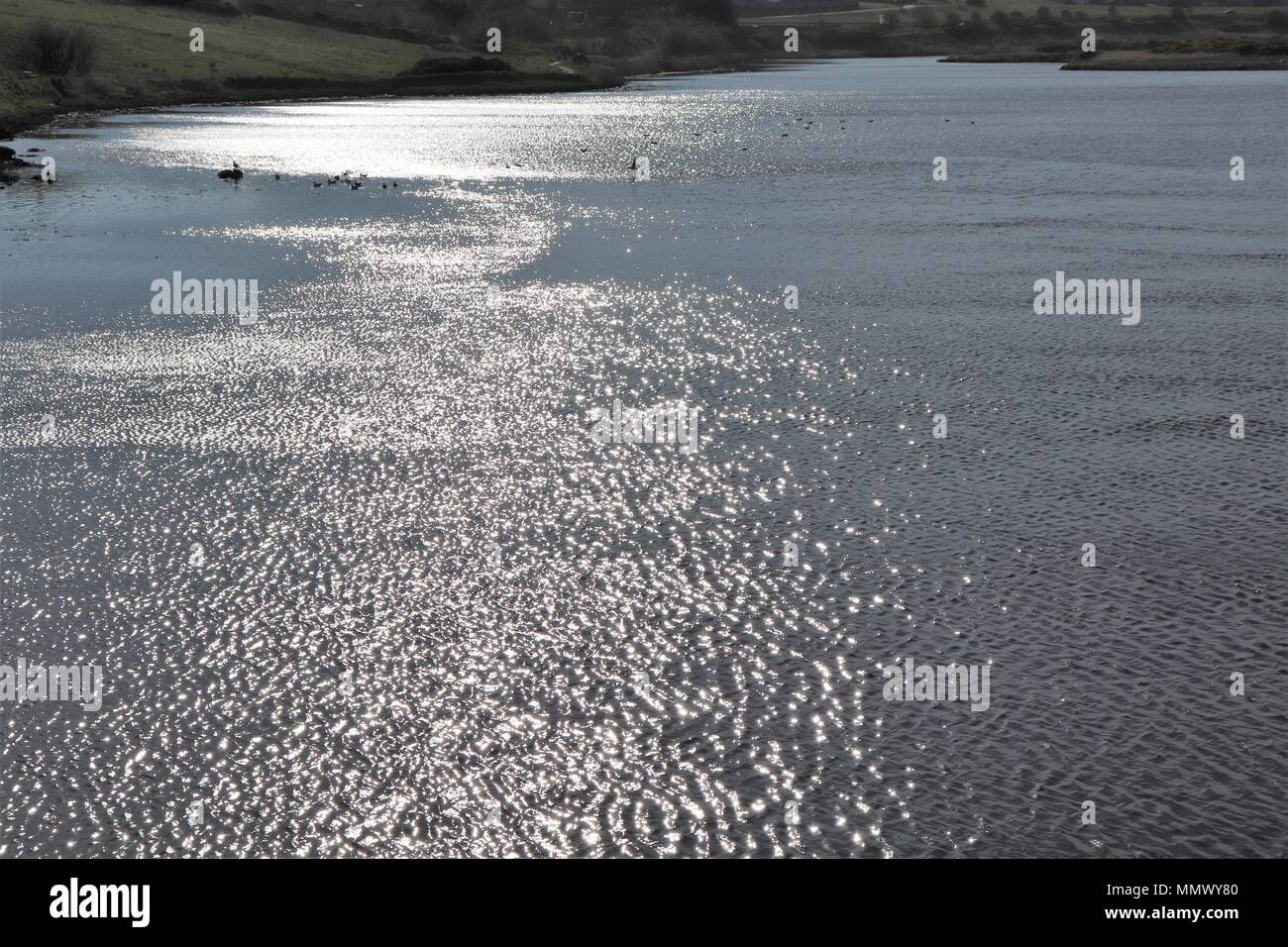Full frame di immagine acqua, increspature, riflessi nel fiume Foto Stock