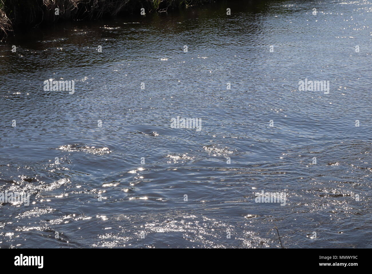 Full frame di immagine acqua, increspature, riflessi nel fiume Foto Stock