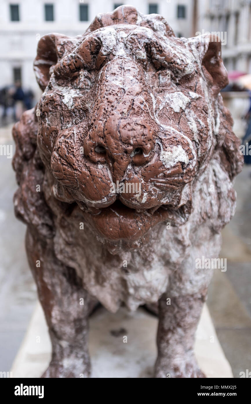 Close up di marmo rosso lion statua, St Marks, Venezia, Italia Foto Stock
