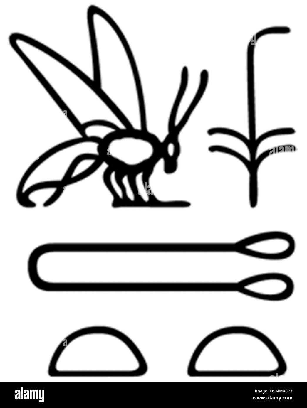 42.59 Anonimo (egiziano). 'Scarab con titolo regale e il nome di Tjetet (?),' 746-525 A.C. di beige chiaro in steatite con verde-blu smalto. Walters Art Museum (42.59): acquistato da Henry Walters, 1929. - Egiziano scarabeo con titolo regale e il nome di Tjetet ( ) - Walters 4259 - impressione dettaglio Foto Stock