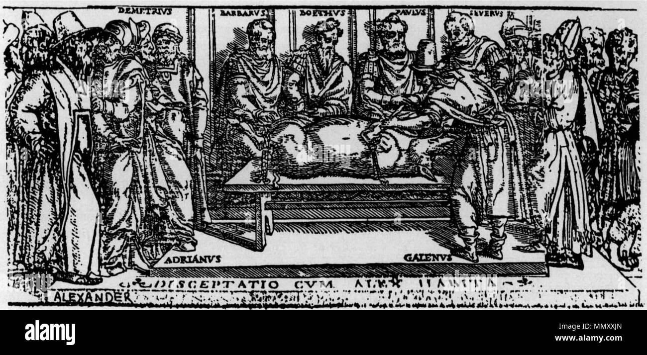 . Inglese: immagine dal pannello di fondo della pagina del titolo per il 1541 Junta edizione di Galen di opere. Mostra Galen dimostrando che le ricorrenti nervi laringea il rendering di un animale senza voce quando viene tagliato. Français : Illustrazione de la partie inférieure de la pagina de titre de l'édition de Junta de 1541 des travaux de Galien. Elle montre Galien faisant en la pubblica démonstration que la sezione du nerf laryngé chez le porc provoque l'estinzione de la voix de l'animale. . 1541. Galen-Pig sconosciuto-Vivisezione Foto Stock