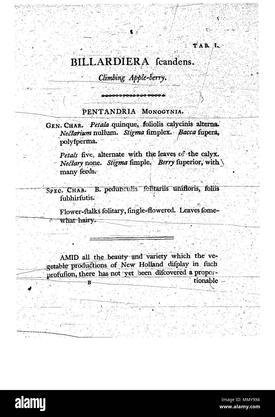 . Questa è una pagina da James Edward Smith è ''Un provino di botanica di New Holland, il primo separatamente pubblicato libro sulla flora di Australia. Il lavoro originale è di dominio pubblico in virtù del suo autore avente morì molti anni fa. La scansione è recente, ma poiché si tratta di una pedissequa copia di un bidimensionale per lavoro e dato che la scansione è stata eseguita negli Stati Uniti, anche essa è di pubblico dominio. Un campione della botanica di New Holland - p. 1 Foto Stock