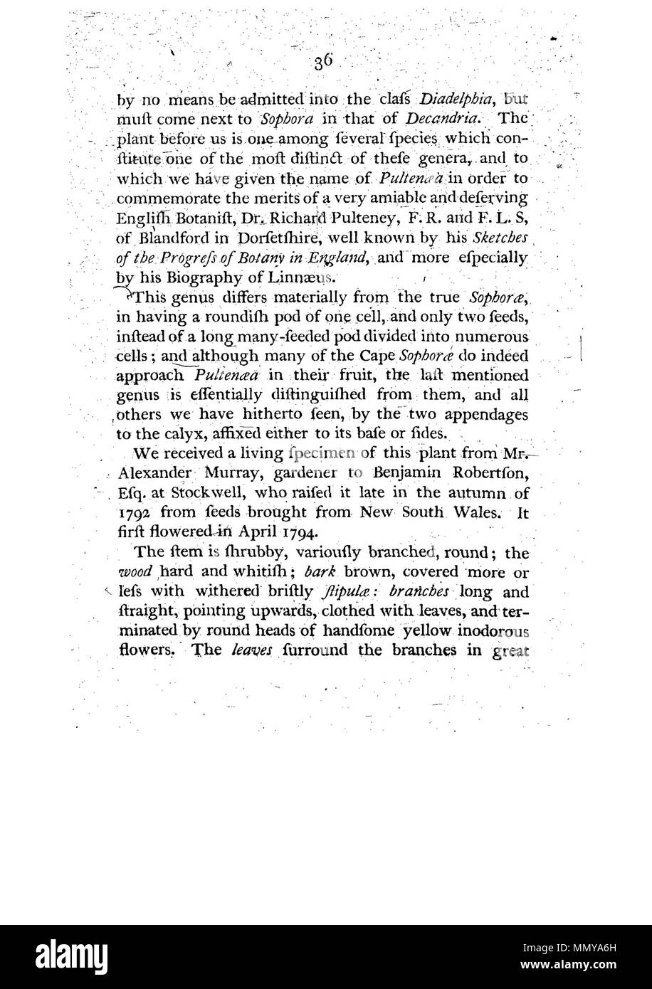 . Questa è una pagina da James Edward Smith è ''Un provino di botanica di New Holland, il primo separatamente pubblicato libro sulla flora di Australia. Il lavoro originale è di dominio pubblico in virtù del suo autore avente morì molti anni fa. La scansione è recente, ma poiché si tratta di una pedissequa copia di un bidimensionale per lavoro e dato che la scansione è stata eseguita negli Stati Uniti, anche essa è di pubblico dominio. Un campione della botanica di New Holland - p. 36 Foto Stock . Questa è una pagina da James Edward Smith è ''Un provino di botanica di New Holland, il primo separatamente pubblicato libro sulla flora di Australia. Il lavoro originale è di dominio pubblico in virtù del suo autore avente morì molti anni fa. La scansione è recente, ma poiché si tratta di una pedissequa copia di un bidimensionale per lavoro e dato che la scansione è stata eseguita negli Stati Uniti, anche essa è di pubblico dominio. Un campione della botanica di New Holland - p. 36 Foto Stock