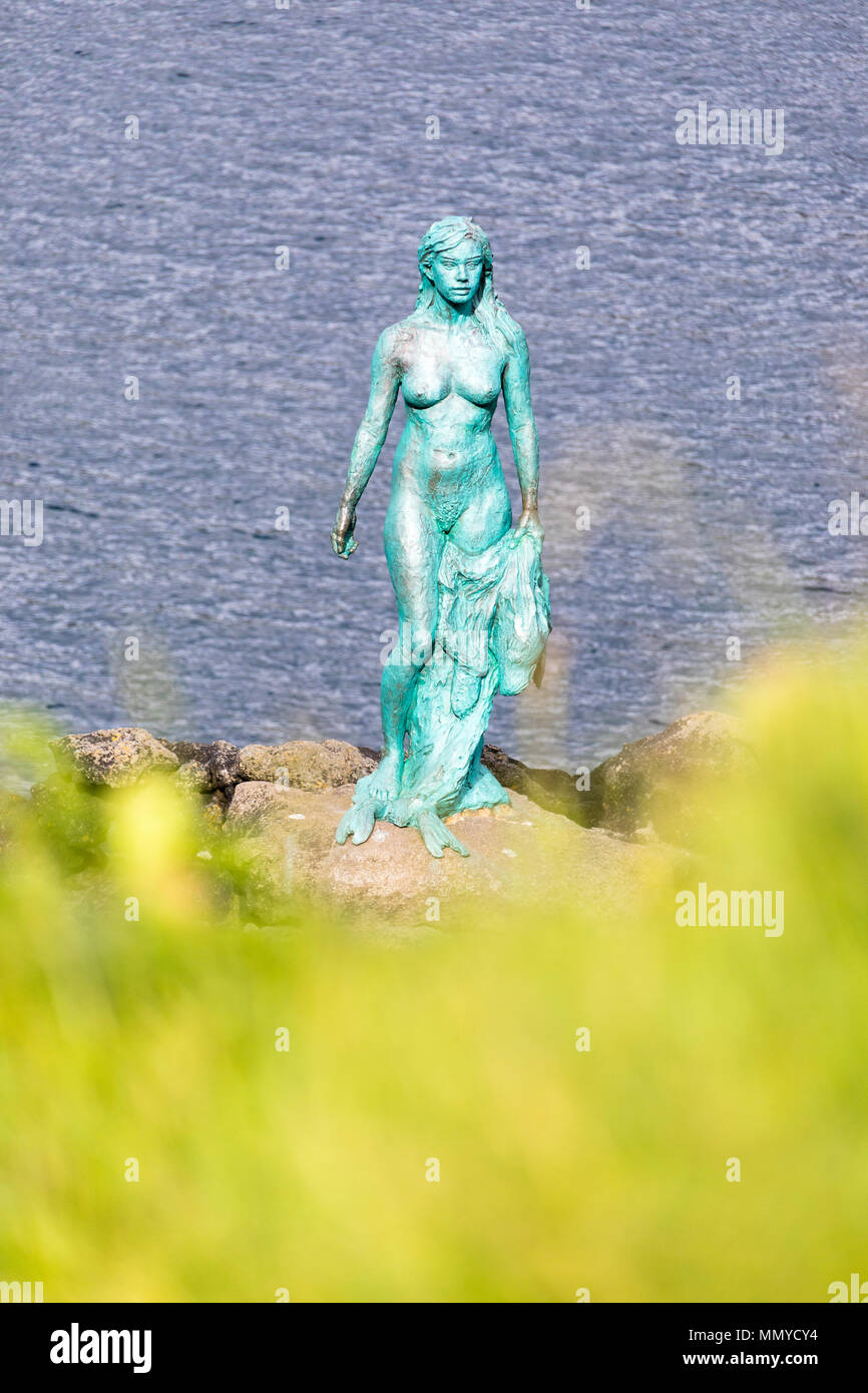 La guarnizione di tenuta donna di Mikladalur (Kopakonan), Kalsoy isola, isole Faerøer, Danimarca Foto Stock