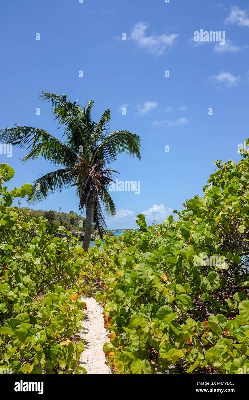 Antigua Piccole Antille isole dei Caraibi West Indies - Grande Bird Island è un piccolo isolotto giacente quasi tre chilometri a nord-est di Antigua M Foto Stock