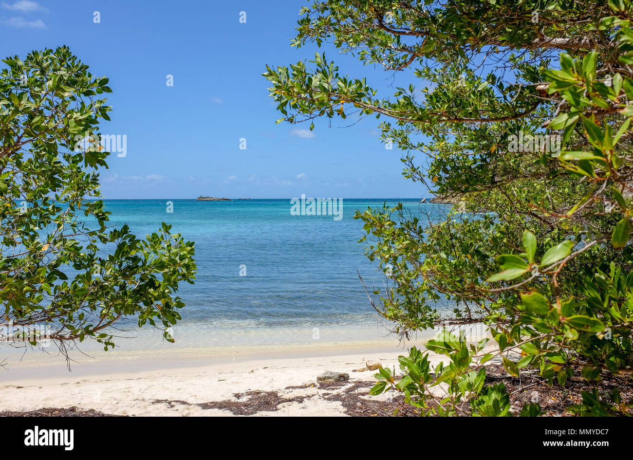 Antigua Piccole Antille isole dei Caraibi West Indies - Grande Bird Island è un piccolo isolotto giacente quasi tre chilometri a nord-est di Antigua M Foto Stock
